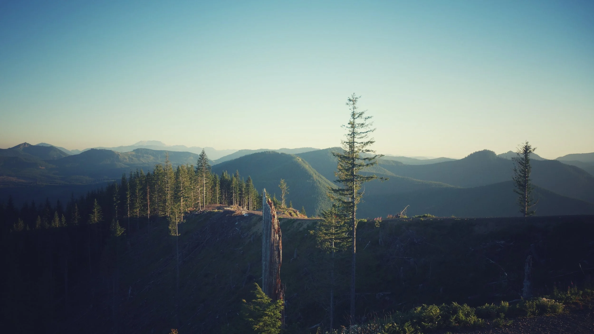 DSC04947-01.jpeg
