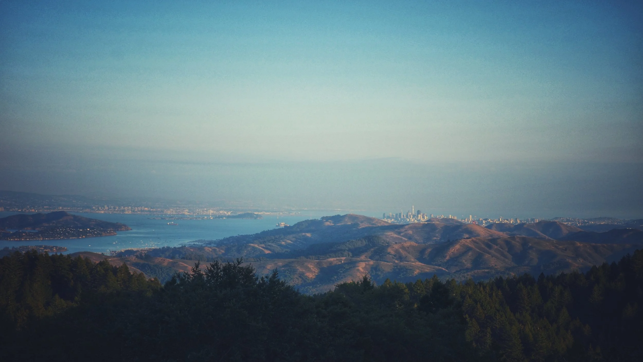 DSC05856-01.jpeg