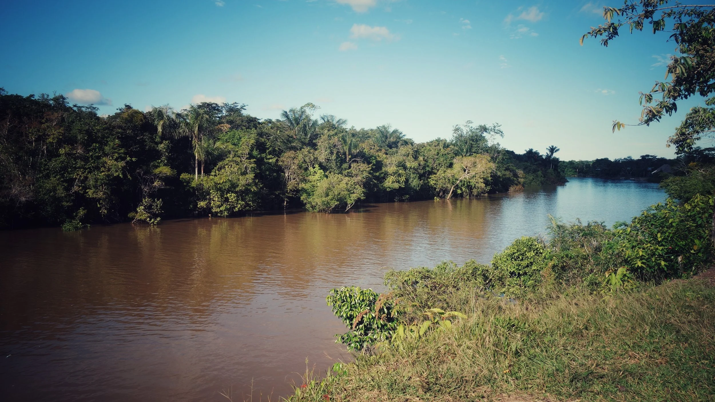DSC07155-01.jpeg