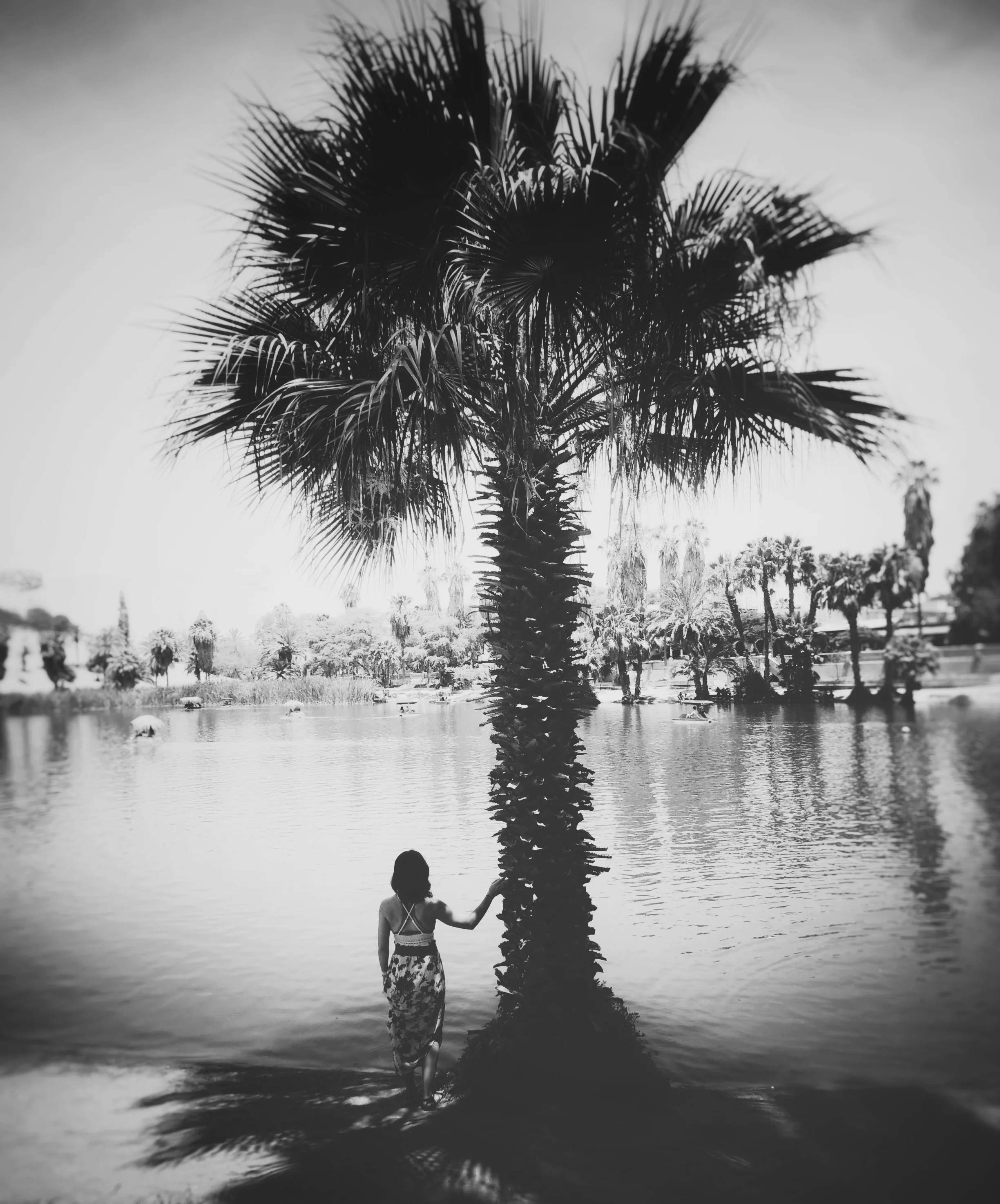 In the center of the Oasis.
