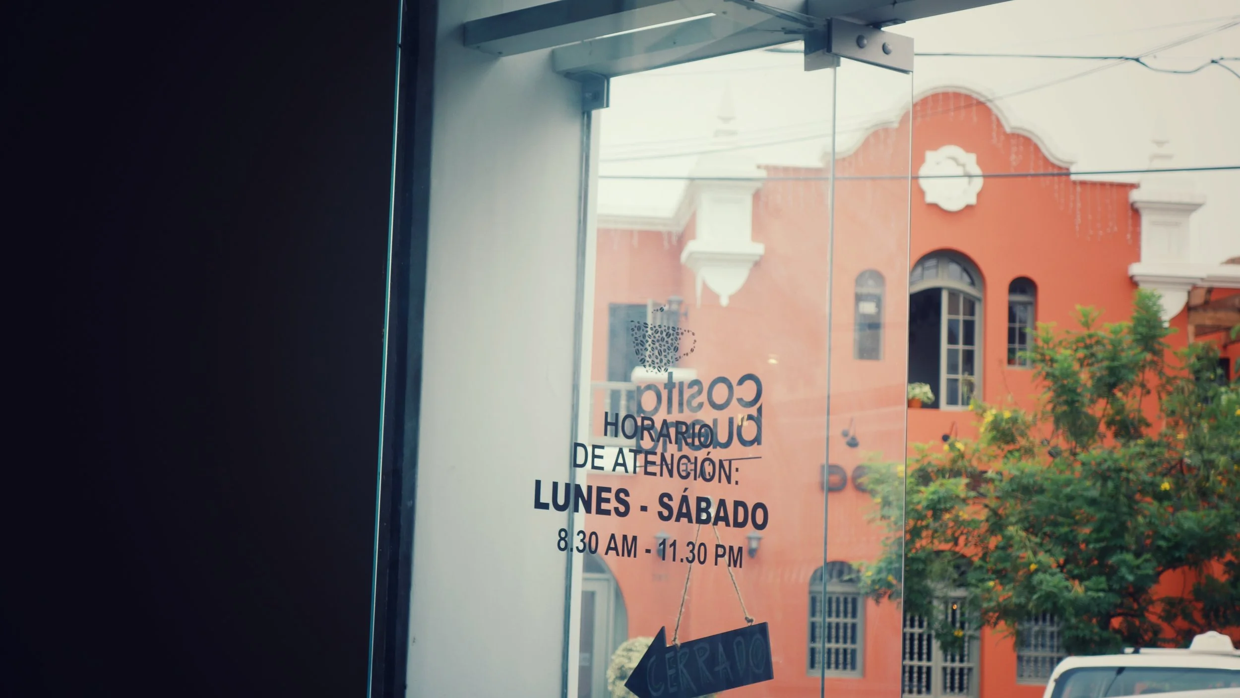 DSC06681-01.jpeg