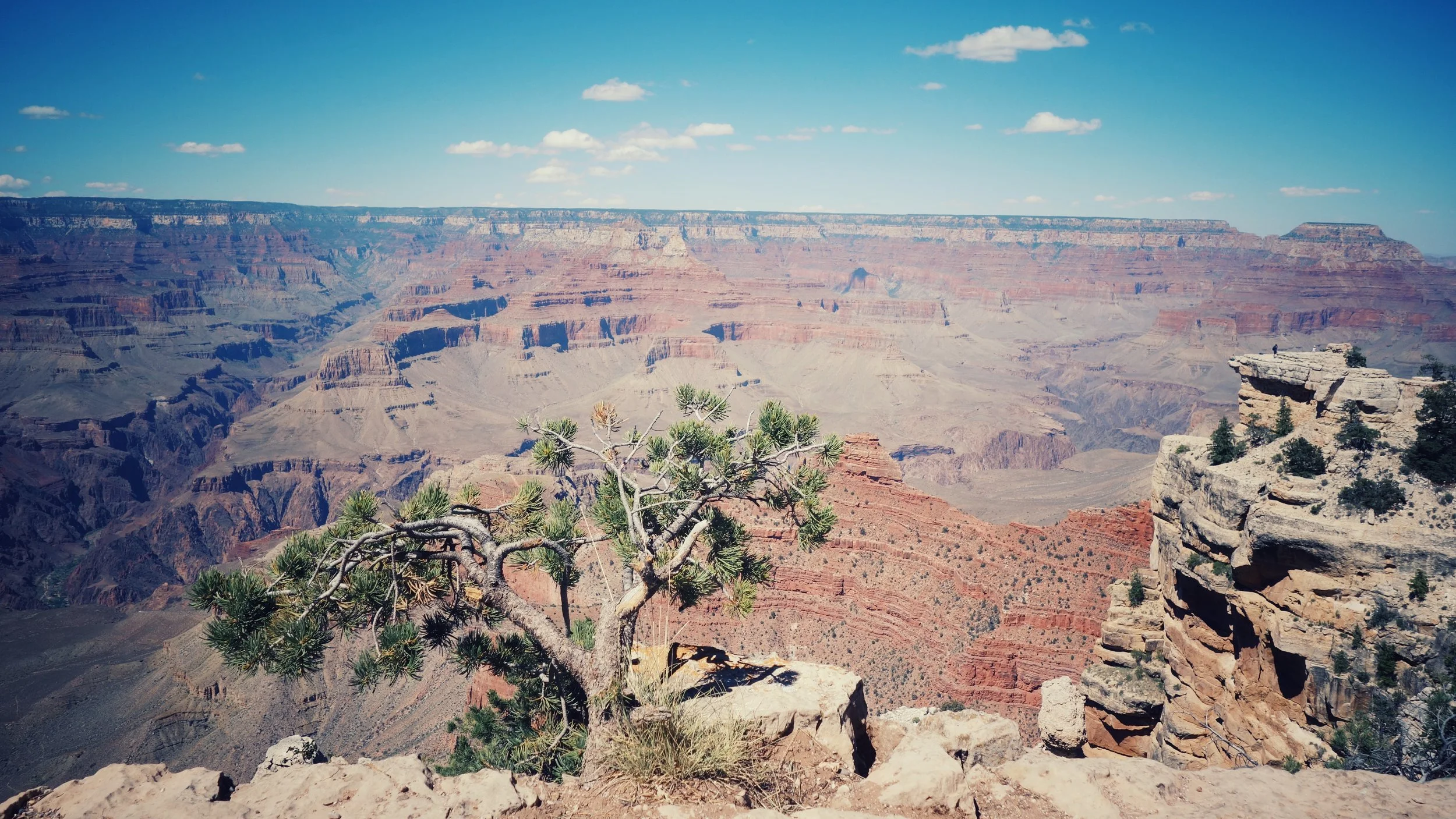 DSC02443 2-01.jpeg