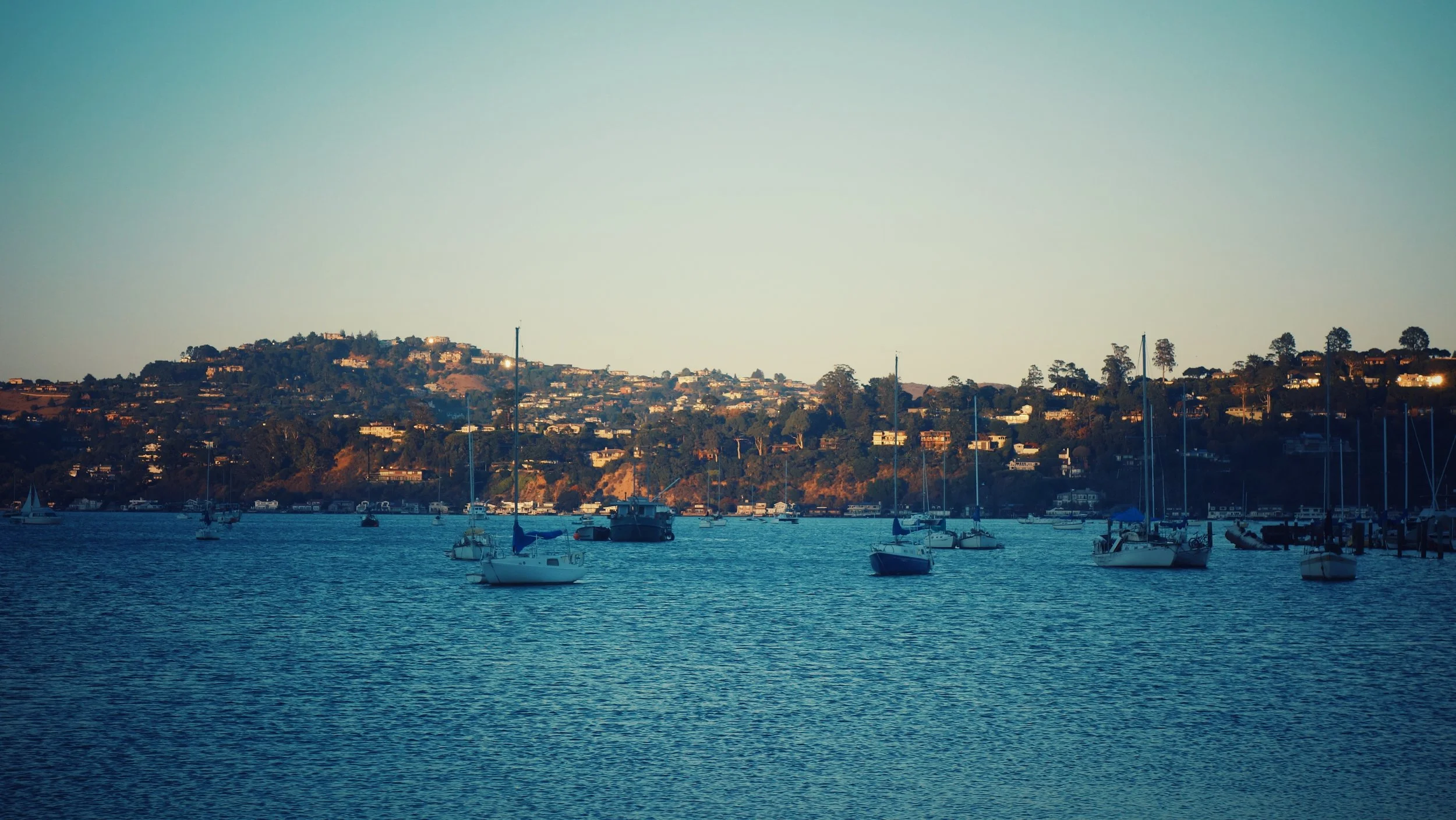 DSC05819-03.jpeg