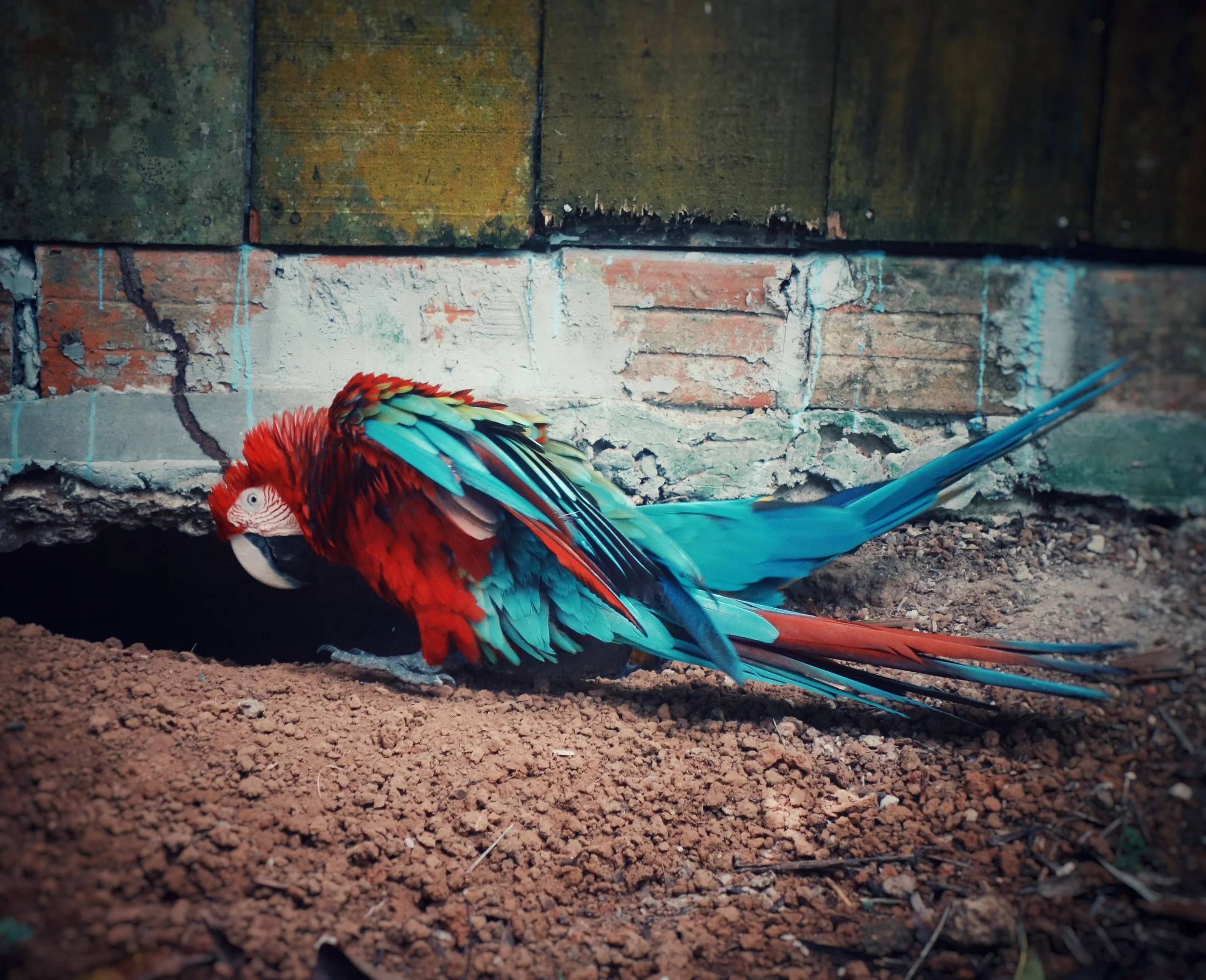 DSC07276-01.jpeg