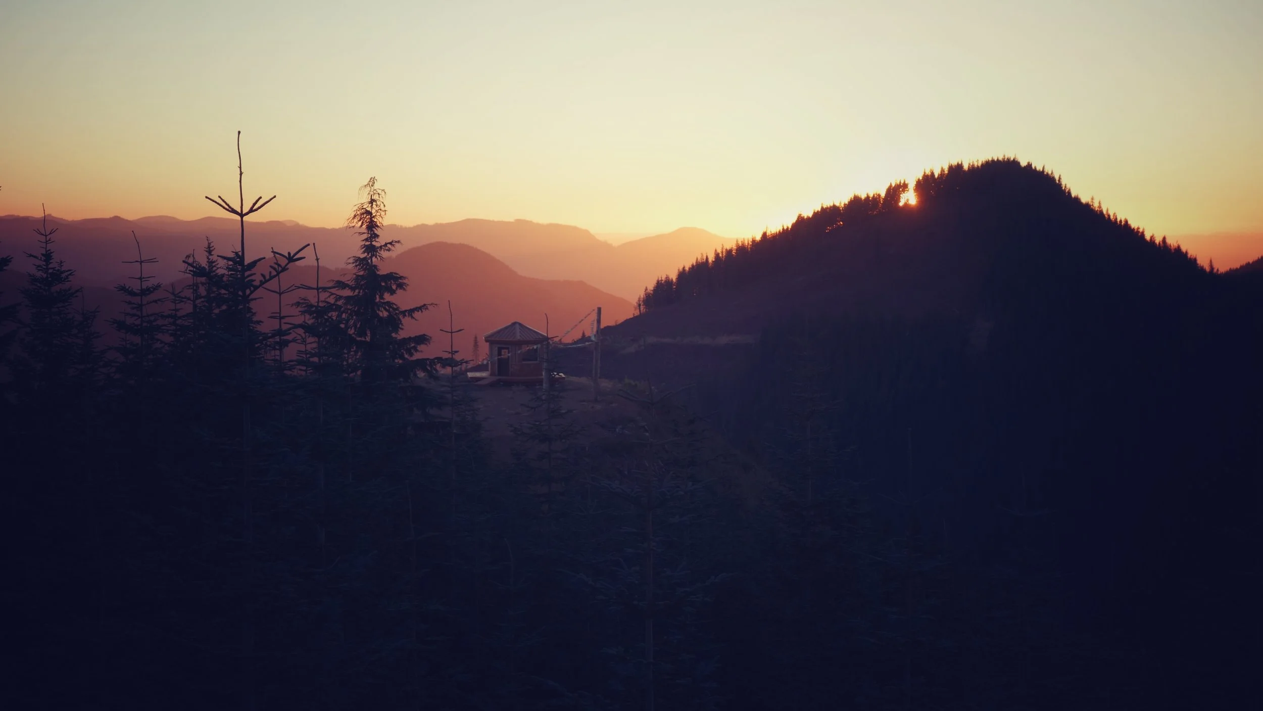 DSC04954-01.jpeg