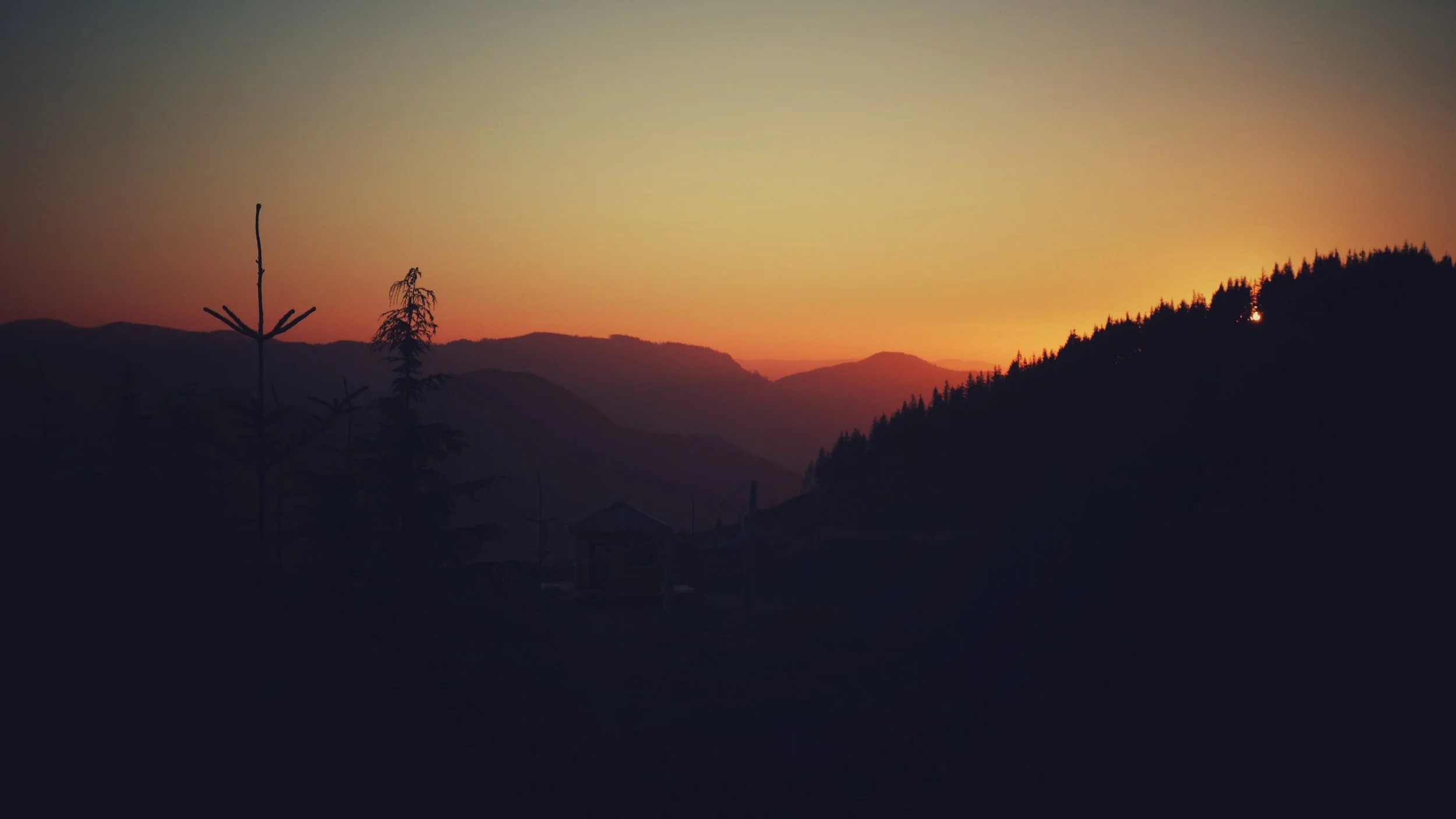 DSC04962-01.jpeg