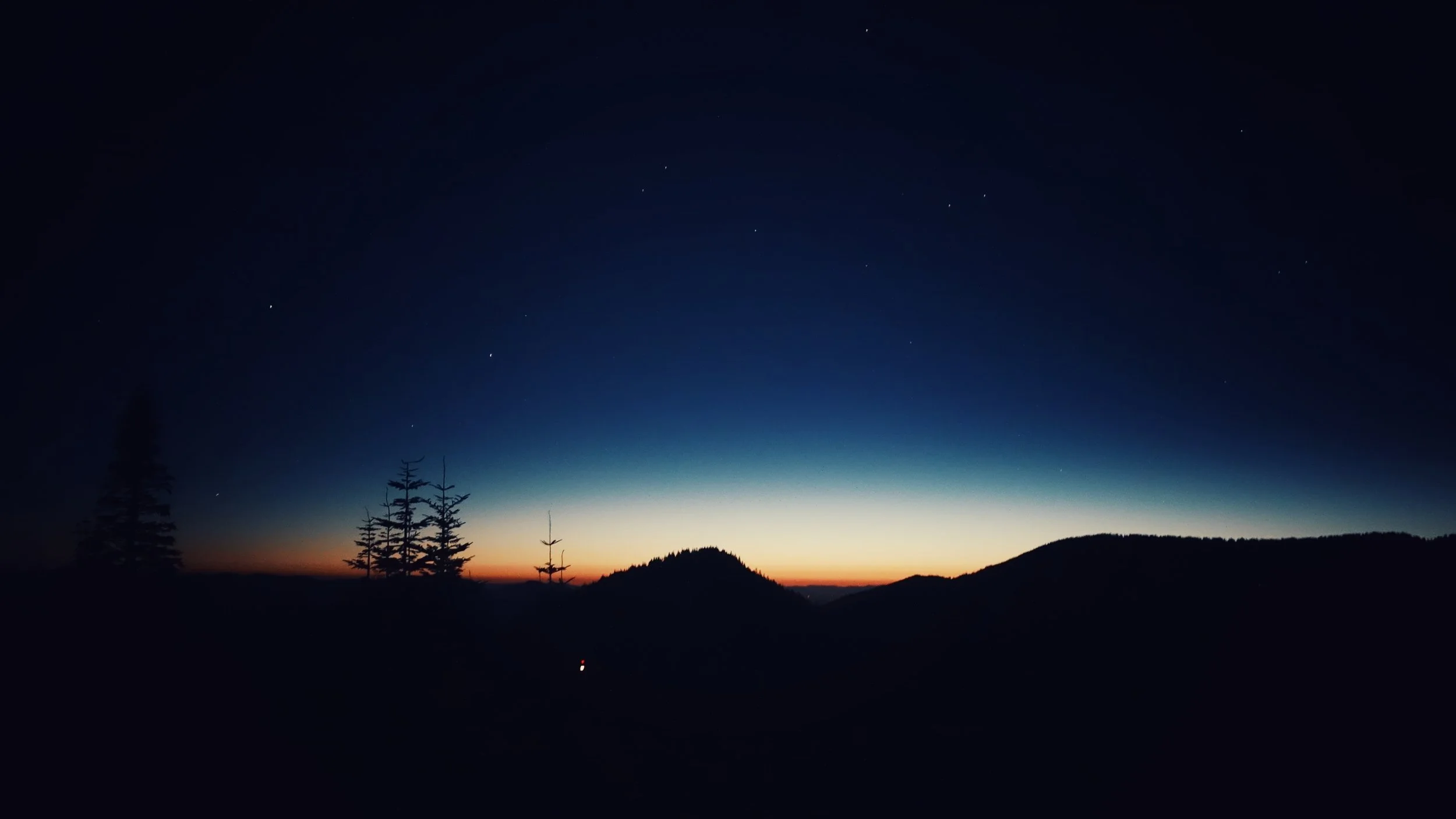 DSC04980-01.jpeg
