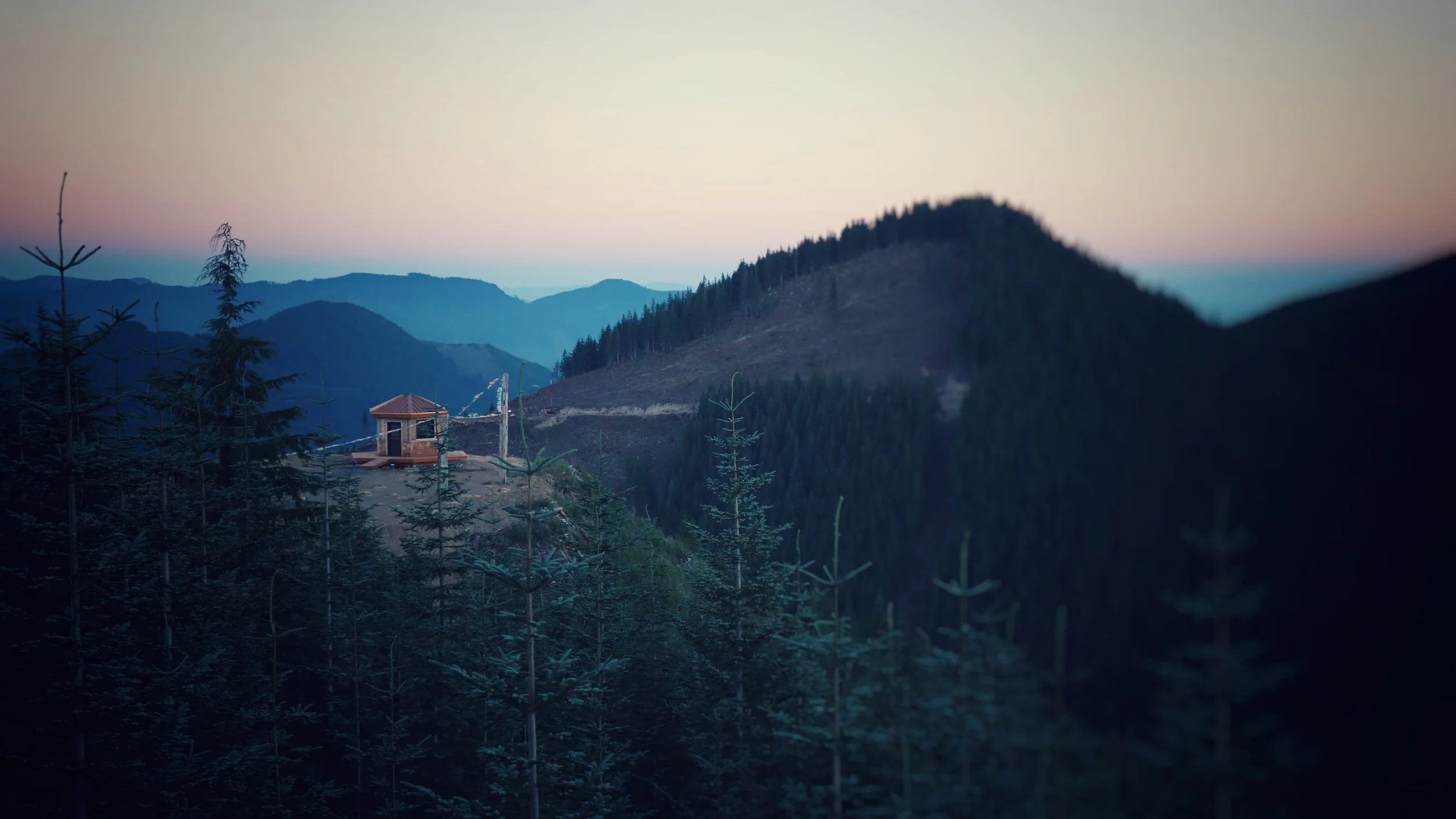 DSC04987-01.jpeg