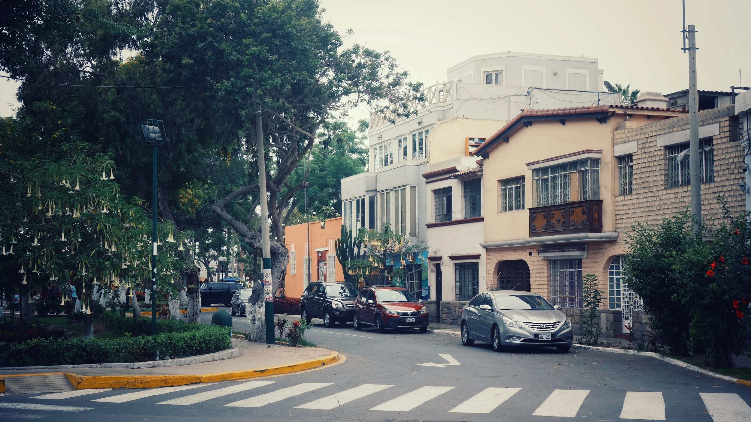 DSC06825-01.jpeg