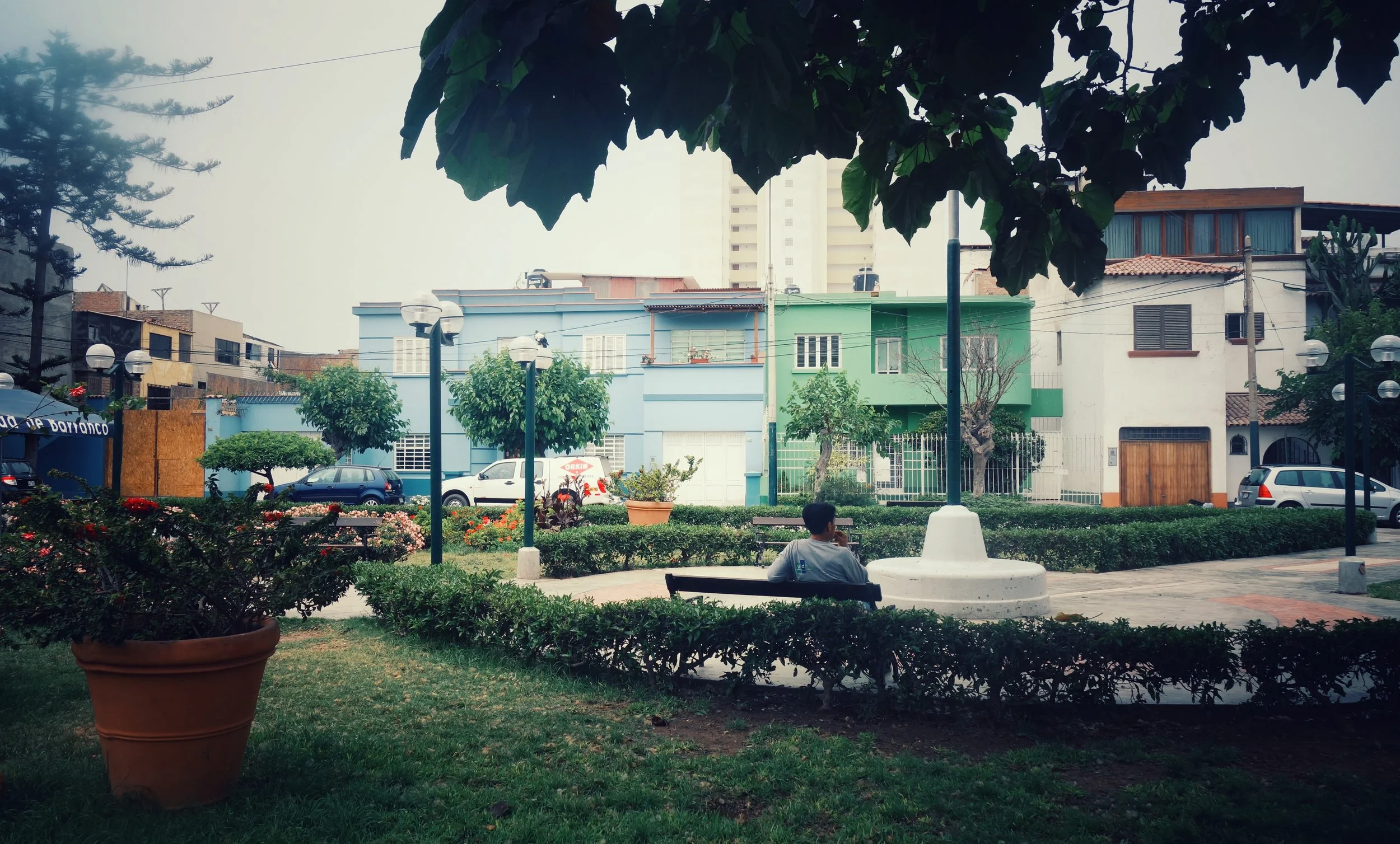 DSC08434-01.jpeg