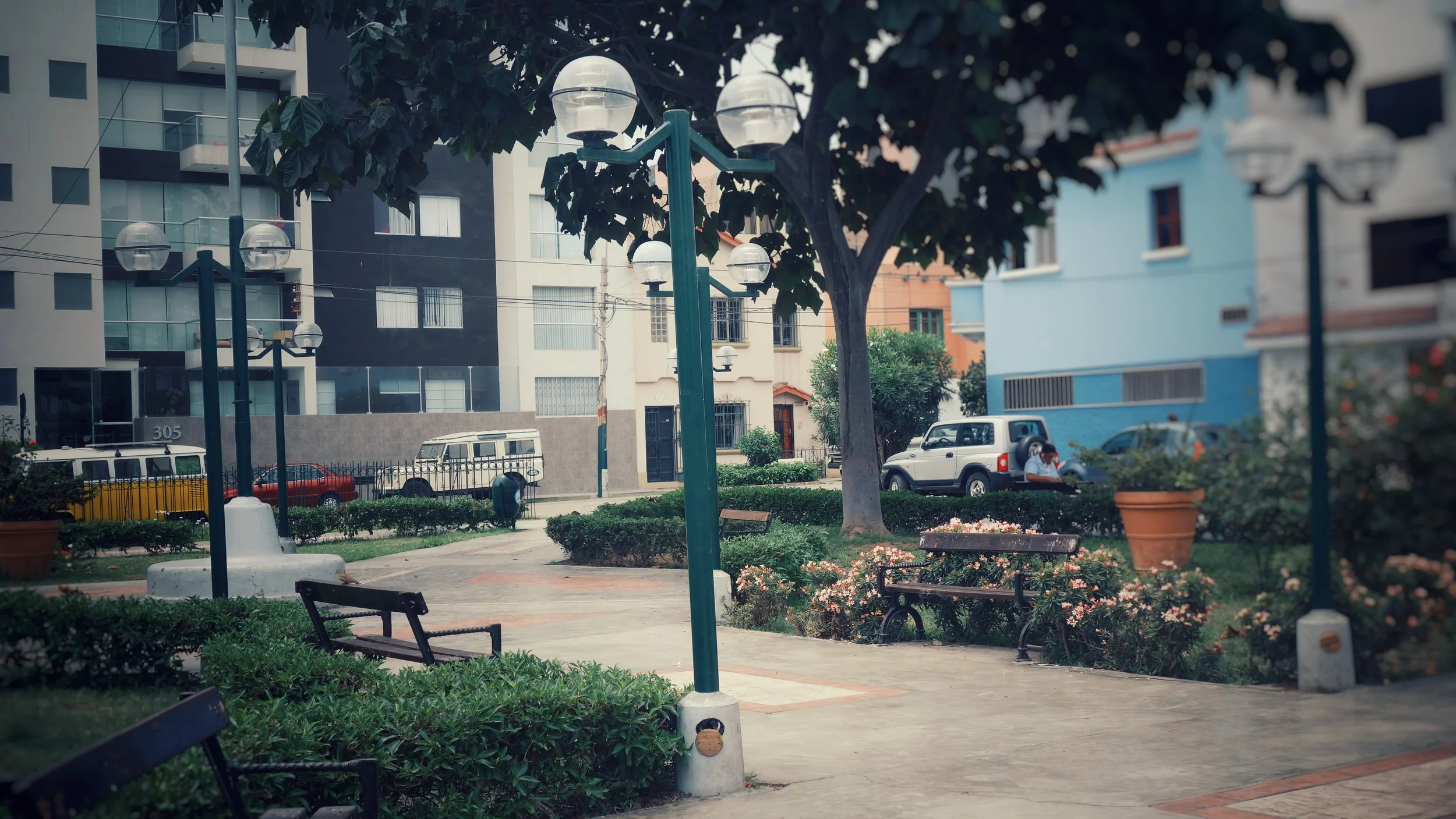 The park by Moni's