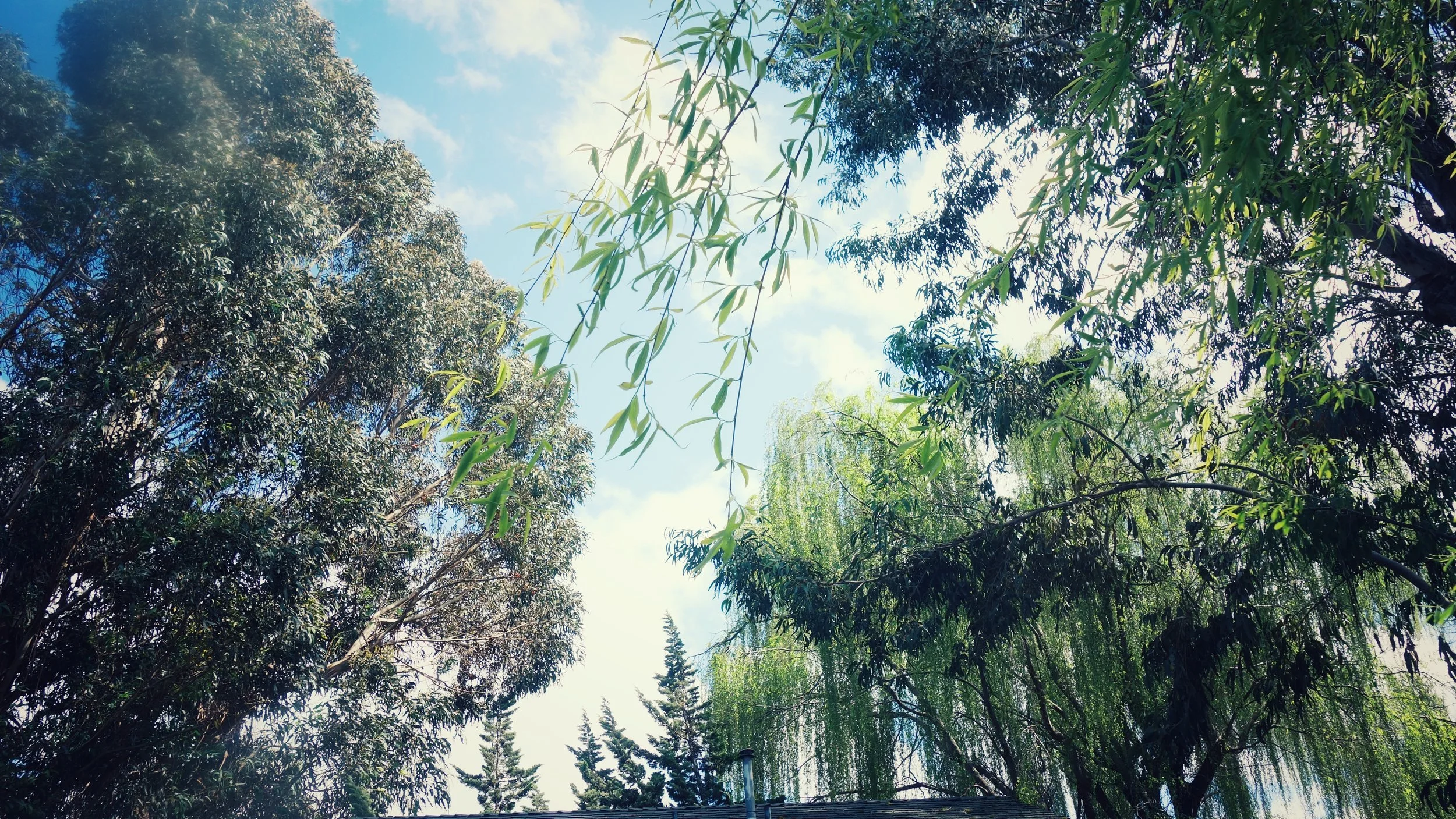 DSC08681-01.jpeg