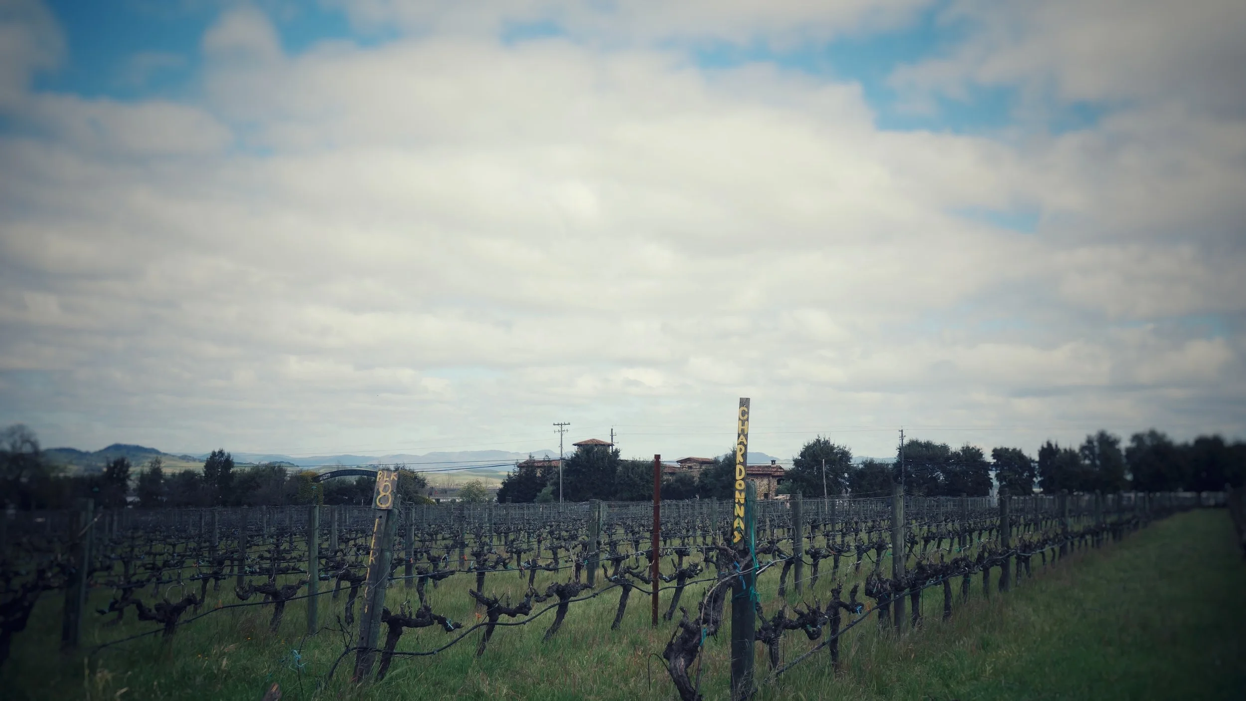 DSC08724-01.jpeg