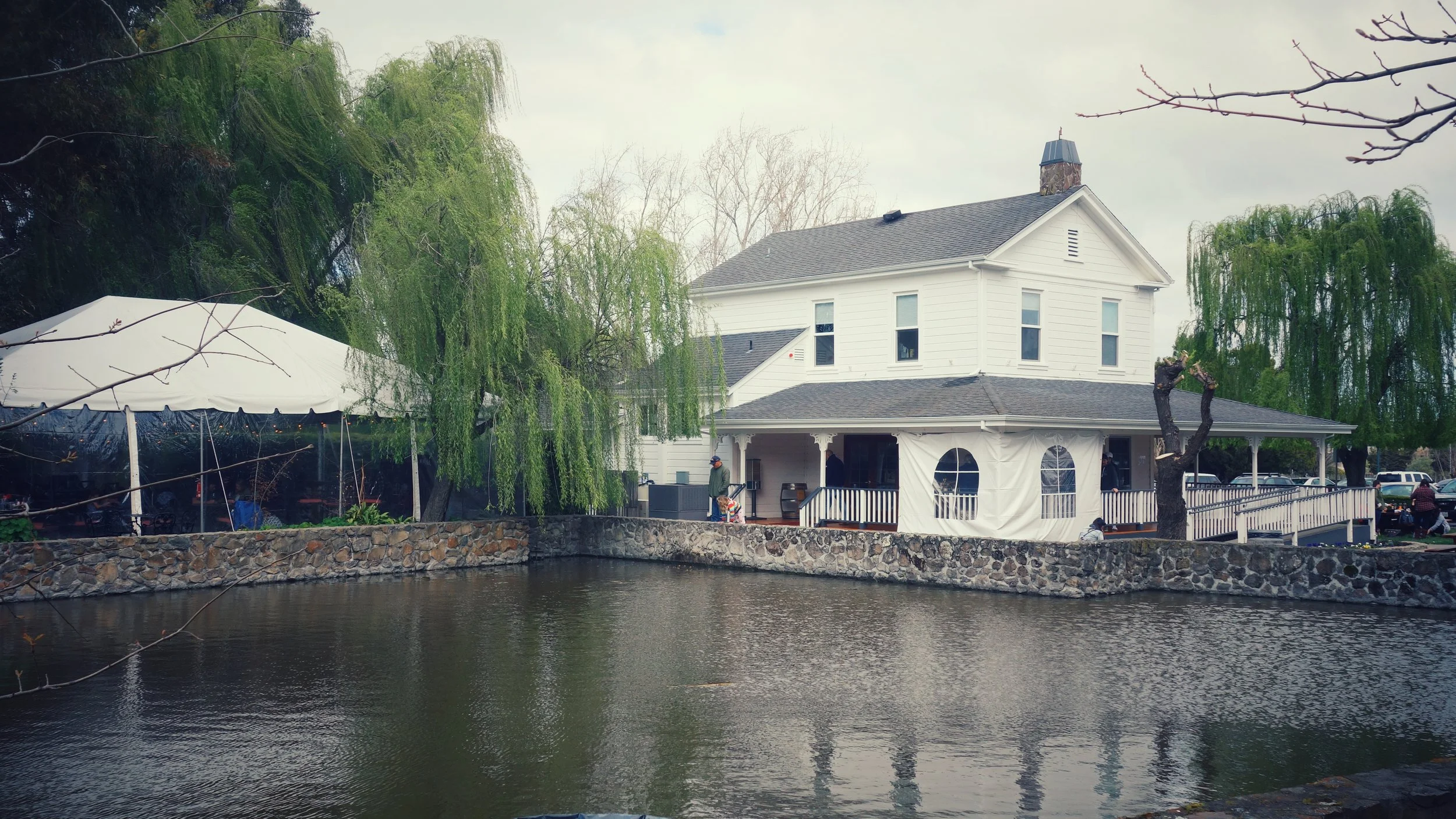 DSC08754-01.jpeg