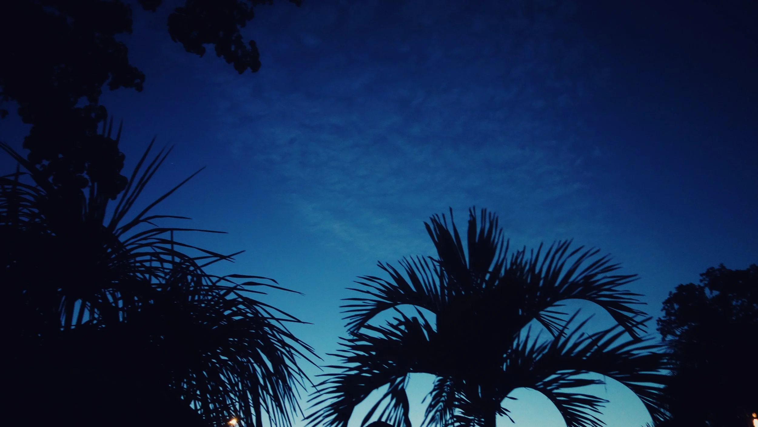 DSC07185-01.jpeg