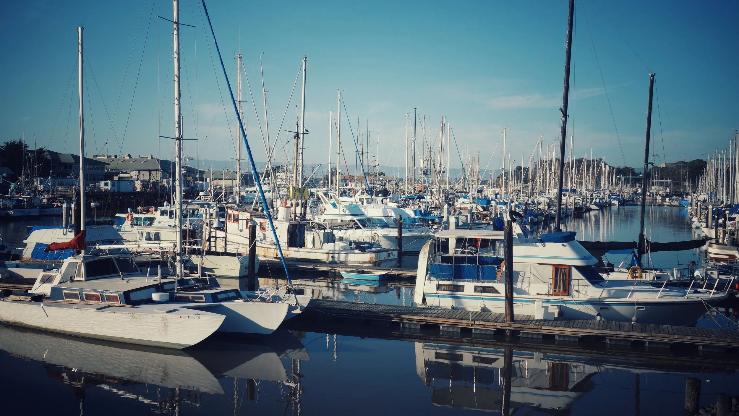 DSC08893-01.jpeg
