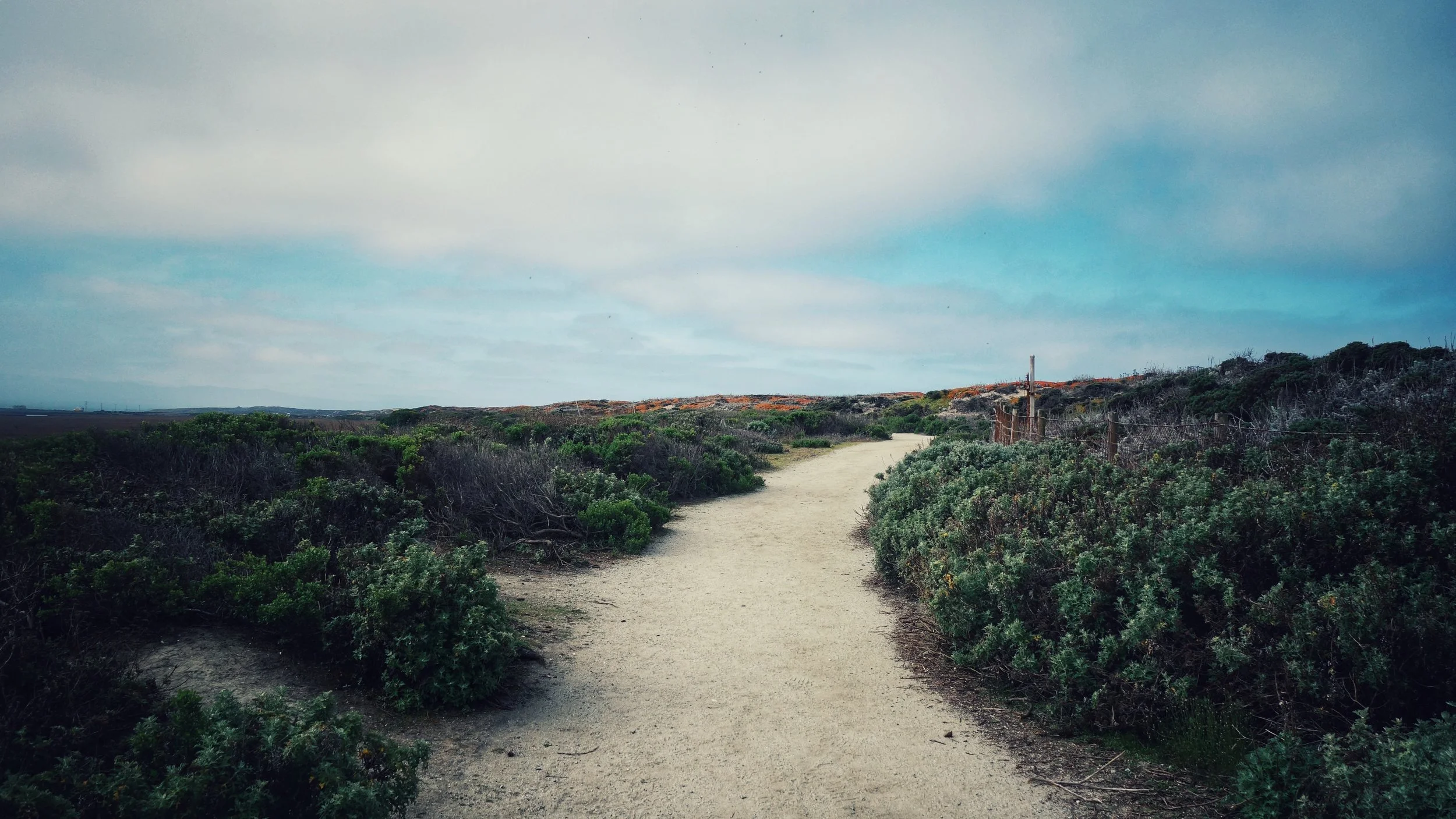 The trail across the water