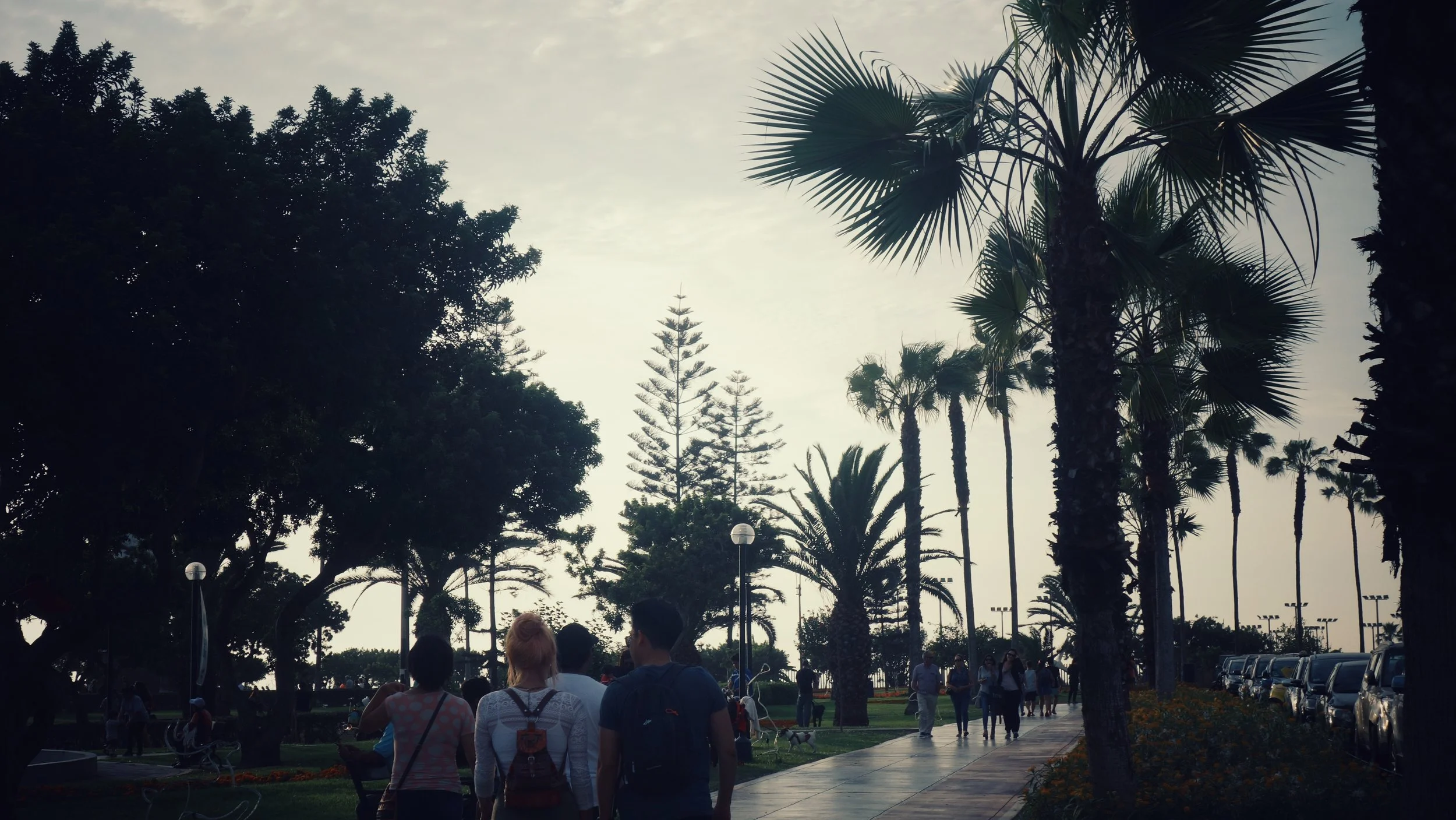 DSC06481-01.jpeg