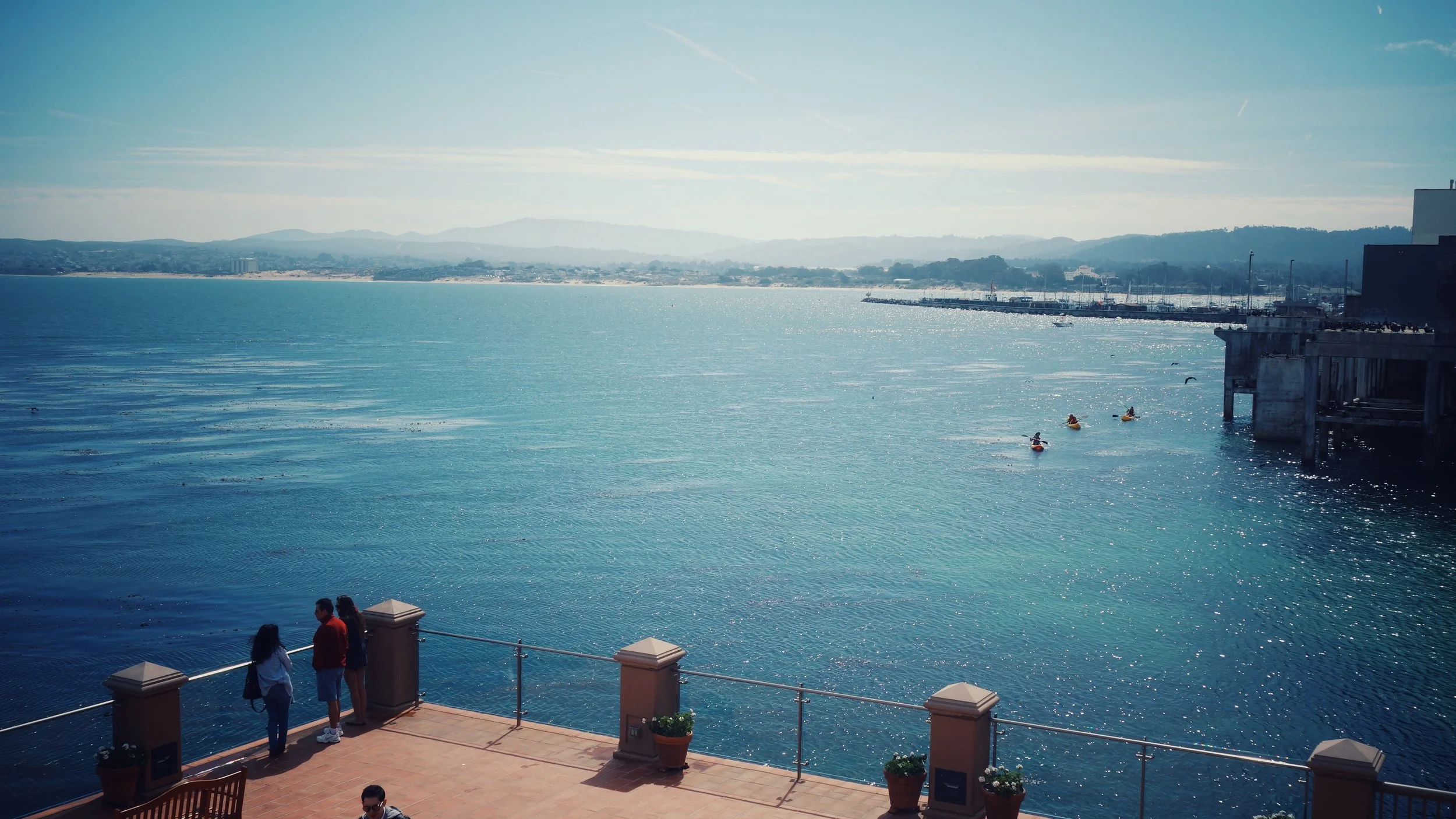 DSC09019-01.jpeg
