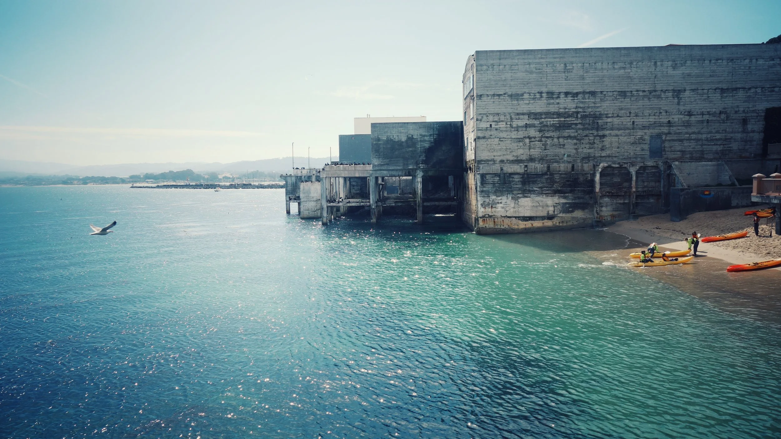 The Harbor