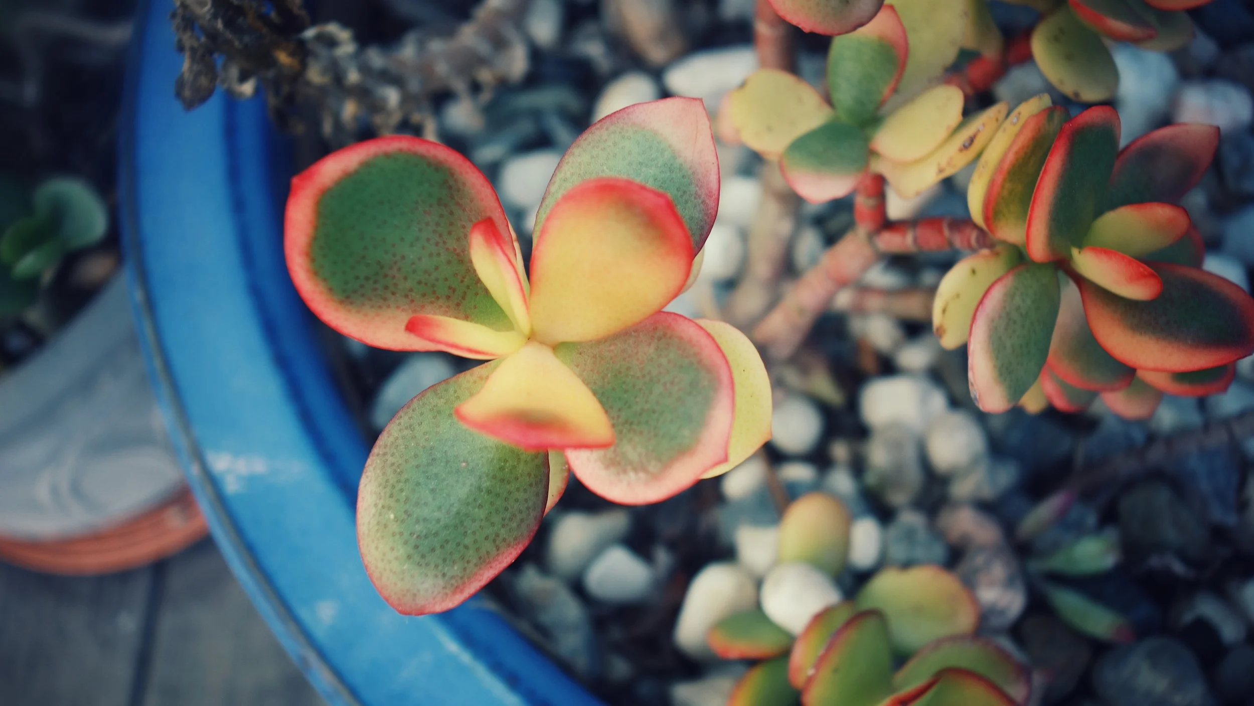 DSC08863-01.jpeg