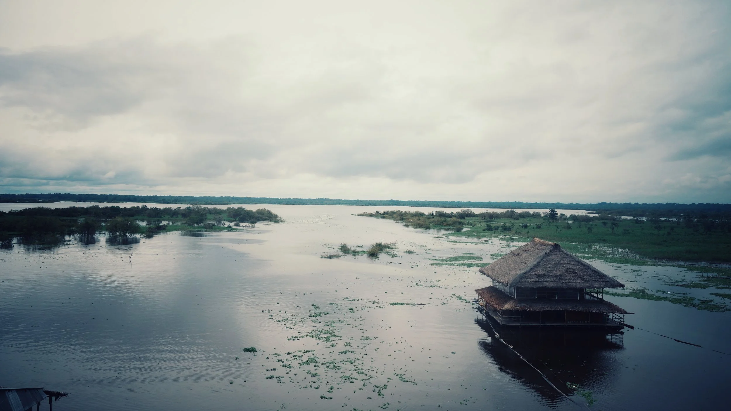 DSC07385-01.jpeg