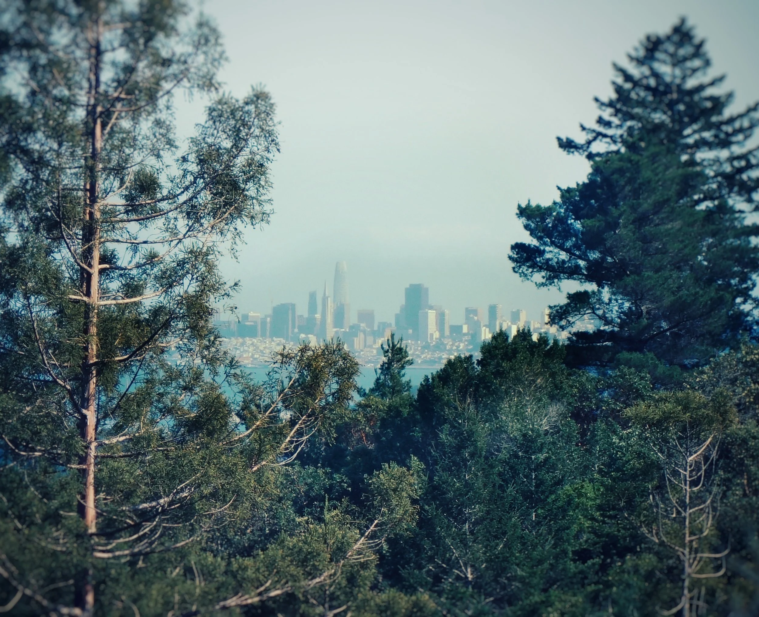 At the top of Blithedale Summit looking at San Francisco