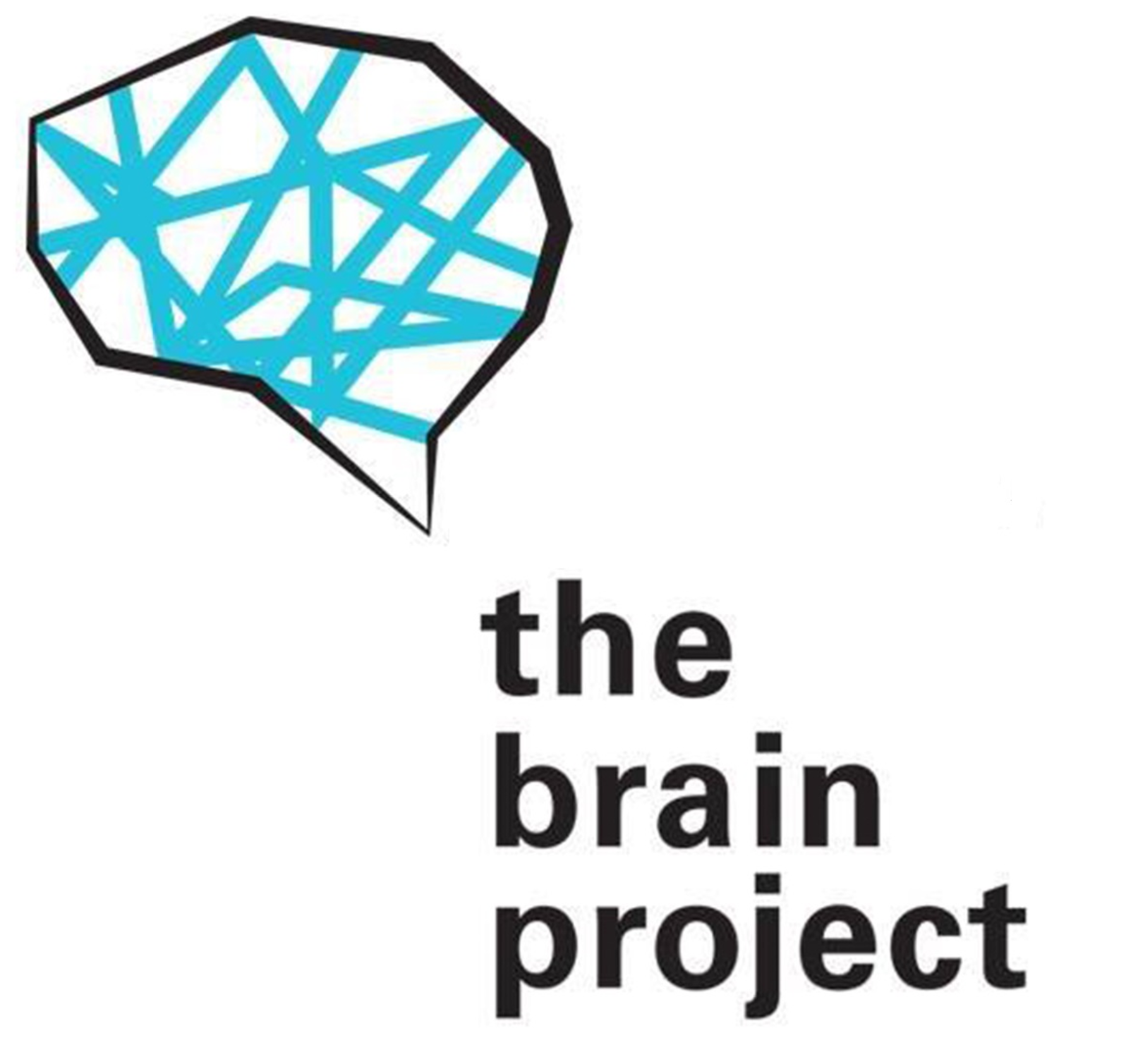 The Brain Project - edition 2017