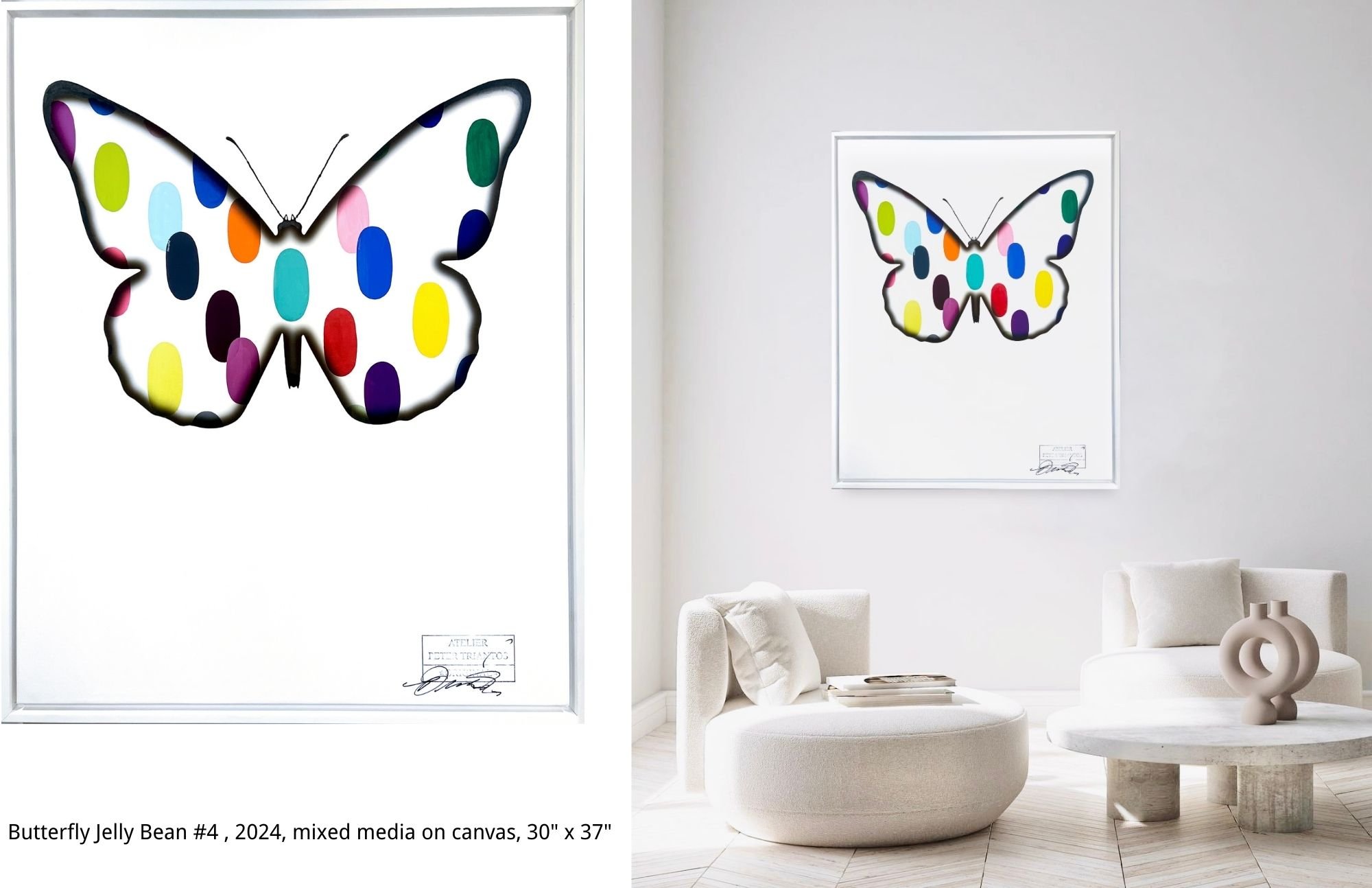 ButterflyJelly Bean#4 ,2024,mixed media on canvas, 30%22 x 37%22 .jpg