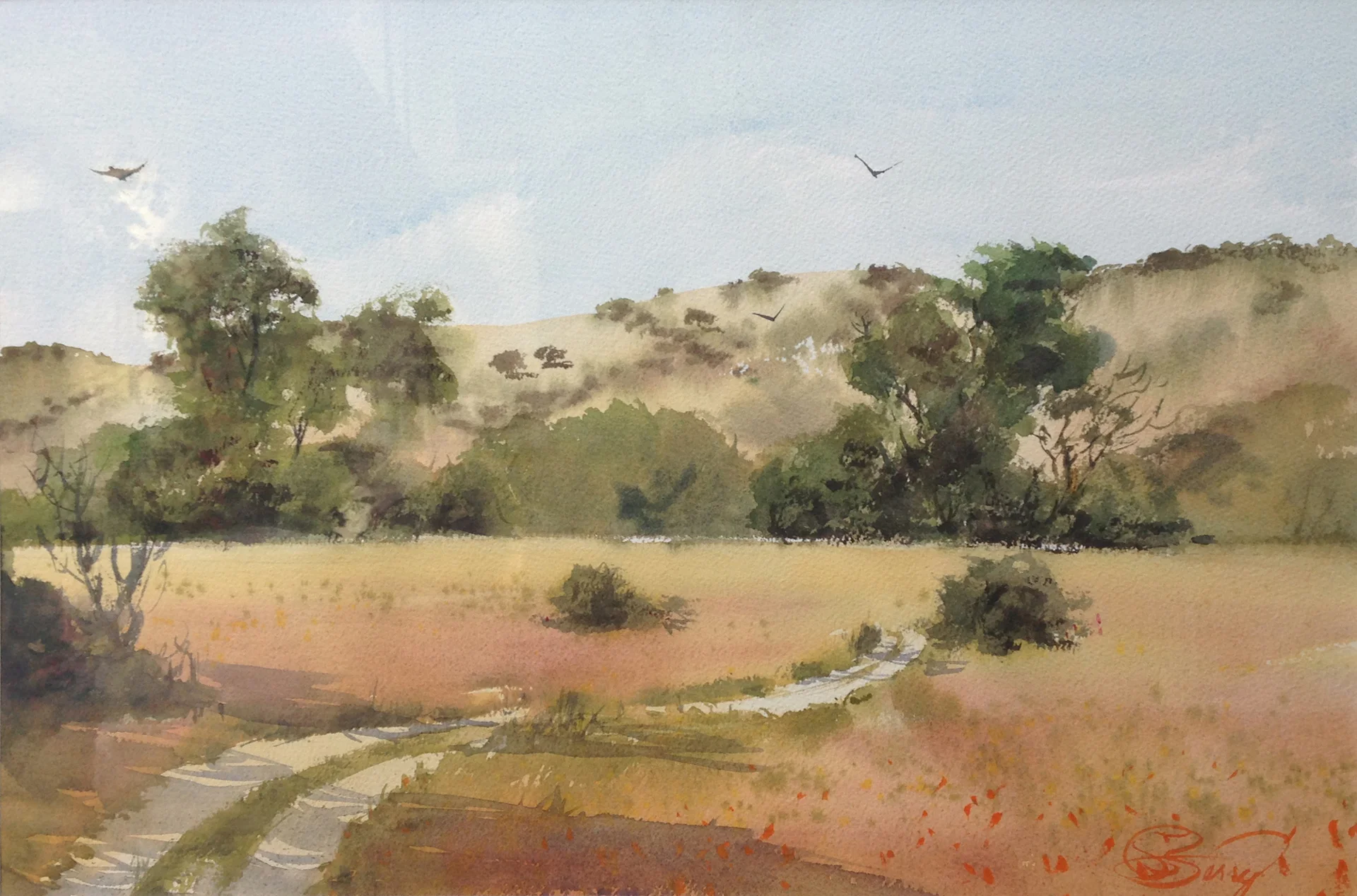 Carmel Valley Stroll