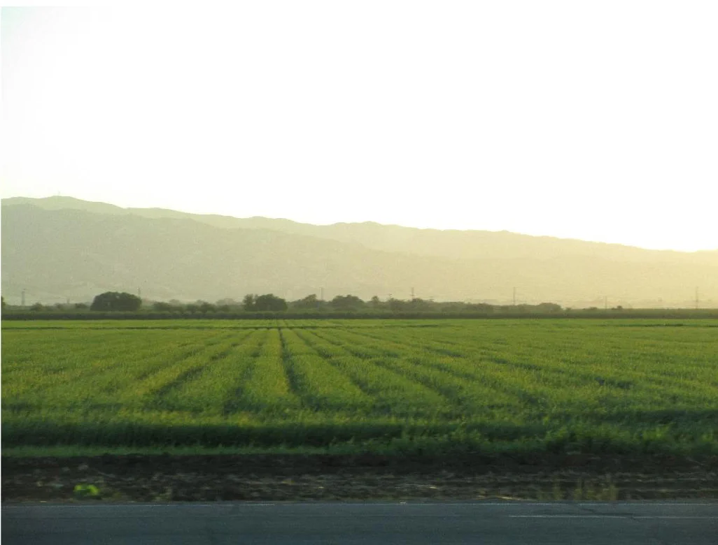 photo2 color.jpg