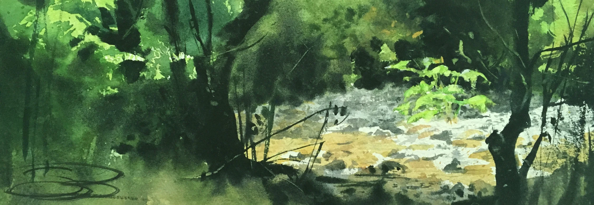 “dry creek, Muir Woods”, 5 x 15, 250$
