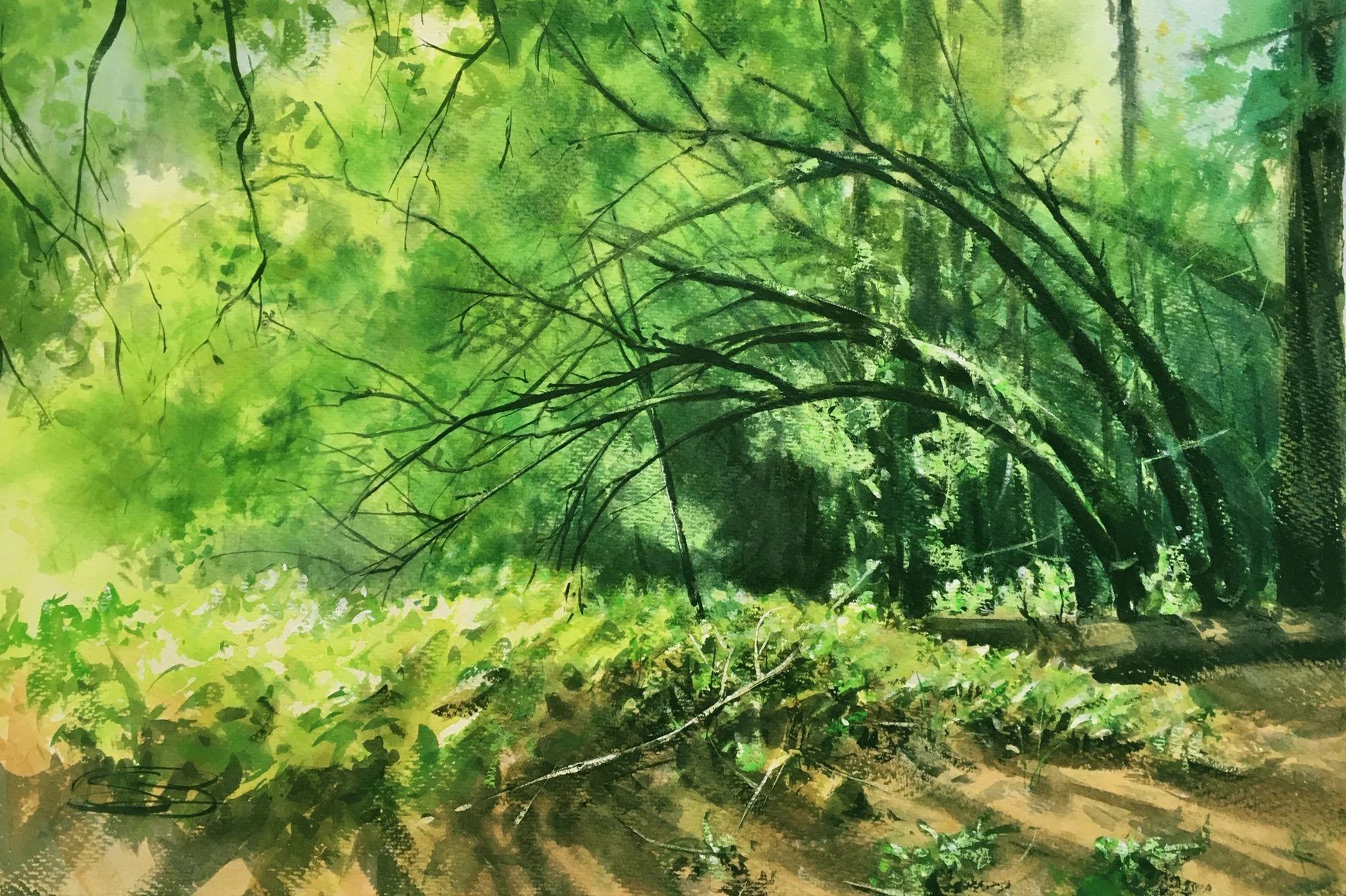“Under the canopy”, 15” x 22”, 500$