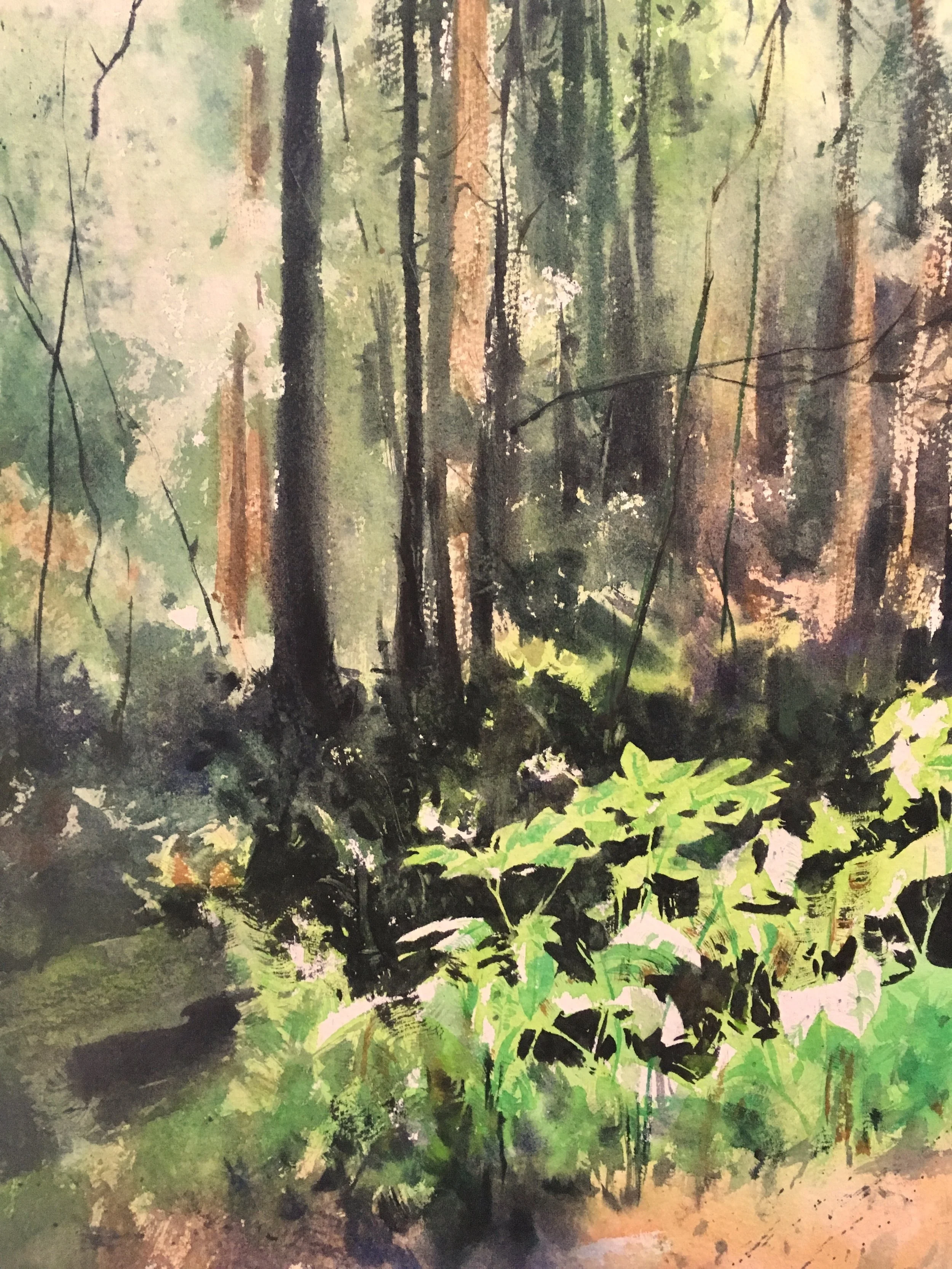 “emerald, Muir woods” 11” x 15”, 400$