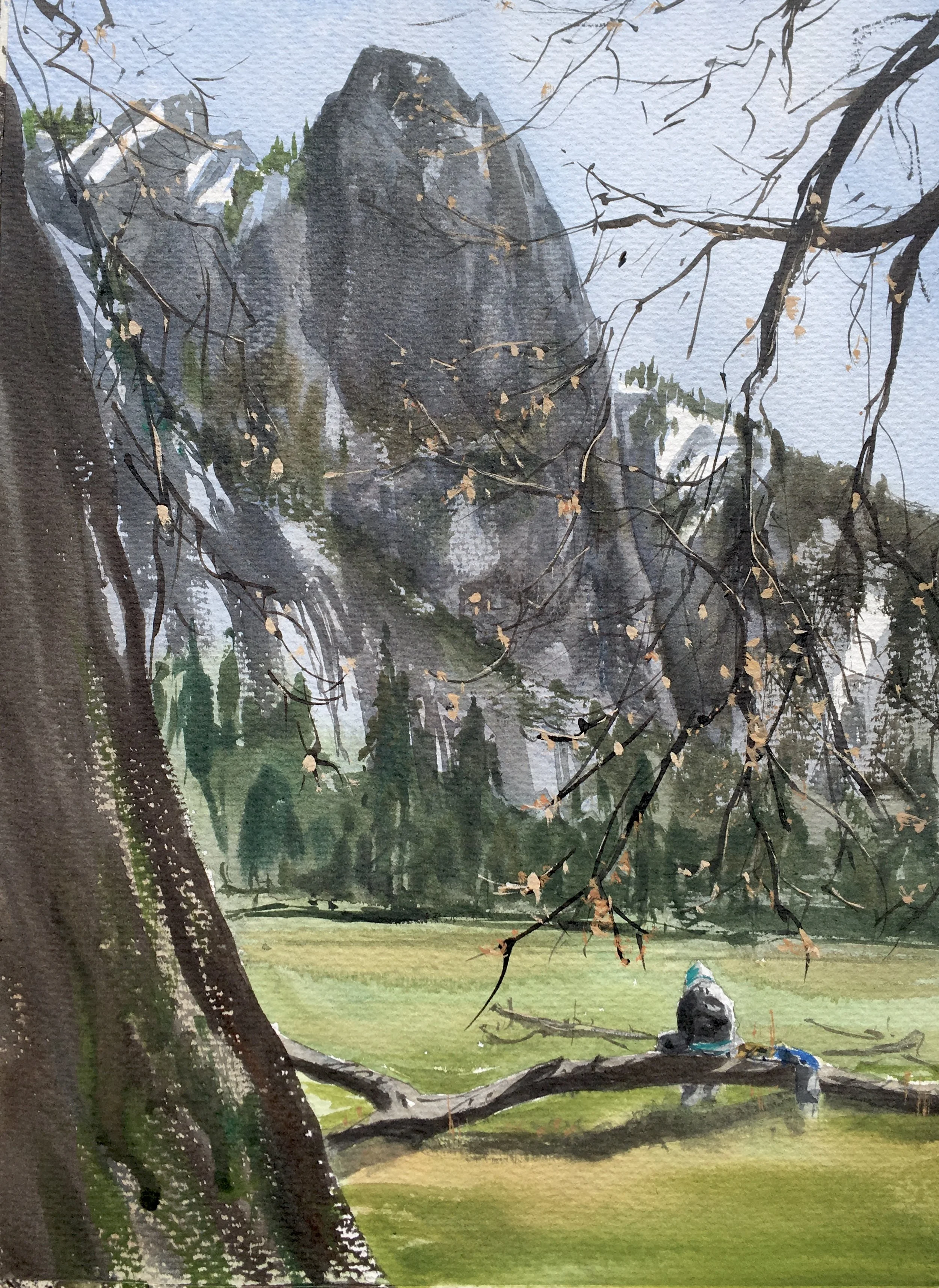 A Good View, Central Meadow