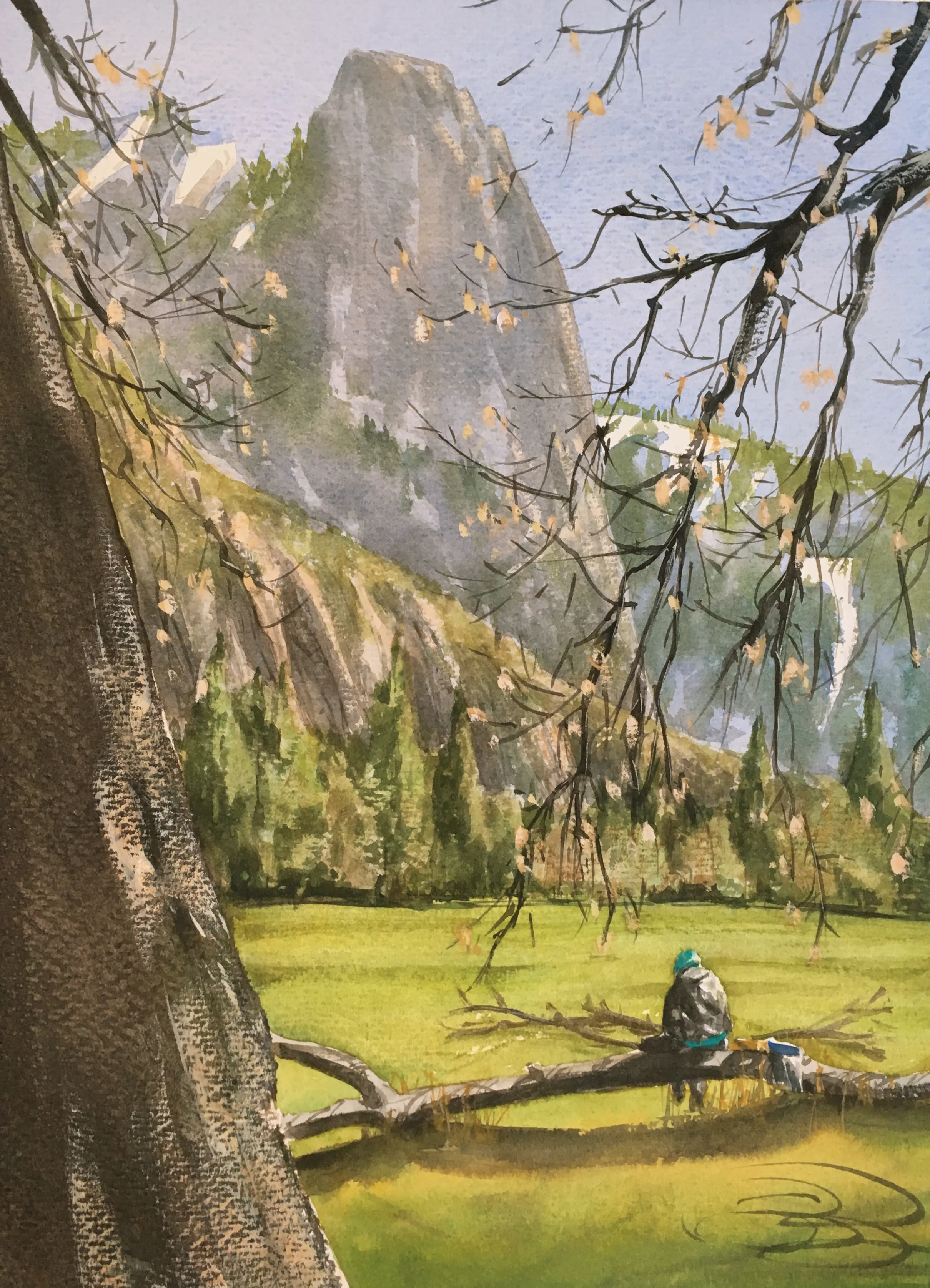 A Good View, Central Meadow