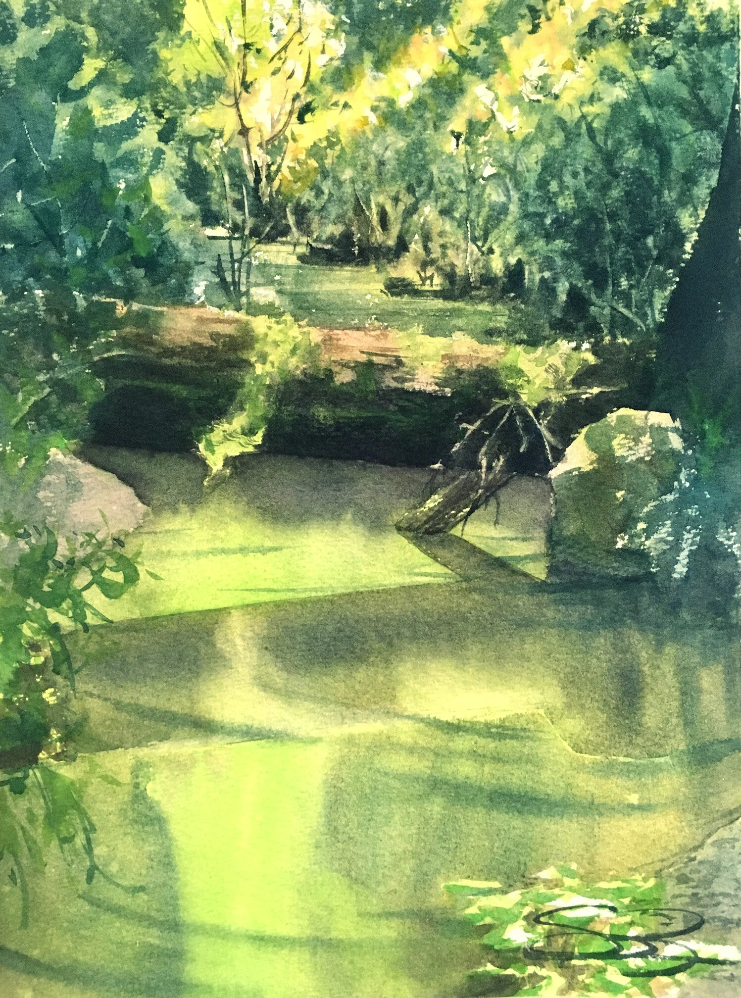 The Bridge, Van Damme SP, Fern Canyon