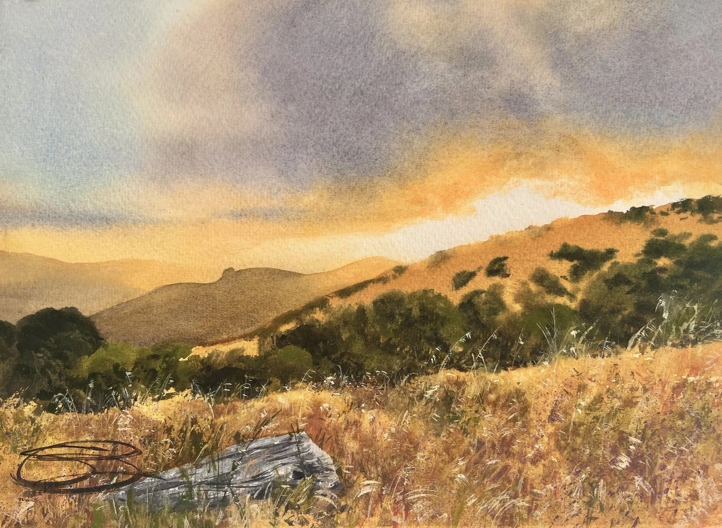 Late Summer in the Meadow Grass 14x11.jpg