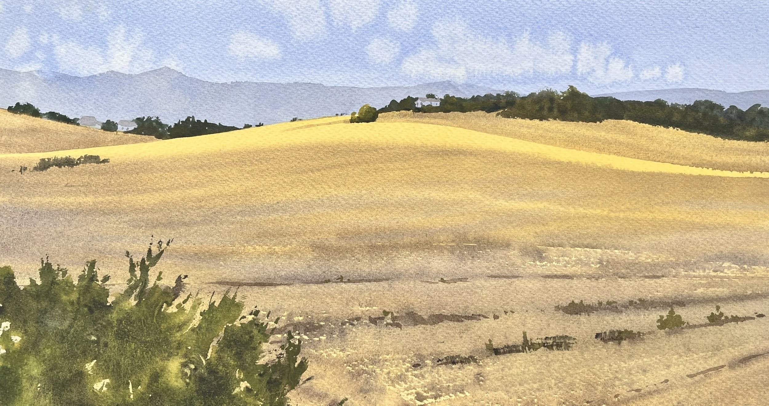 Thread of Gold, 10x20, 595$.jpg