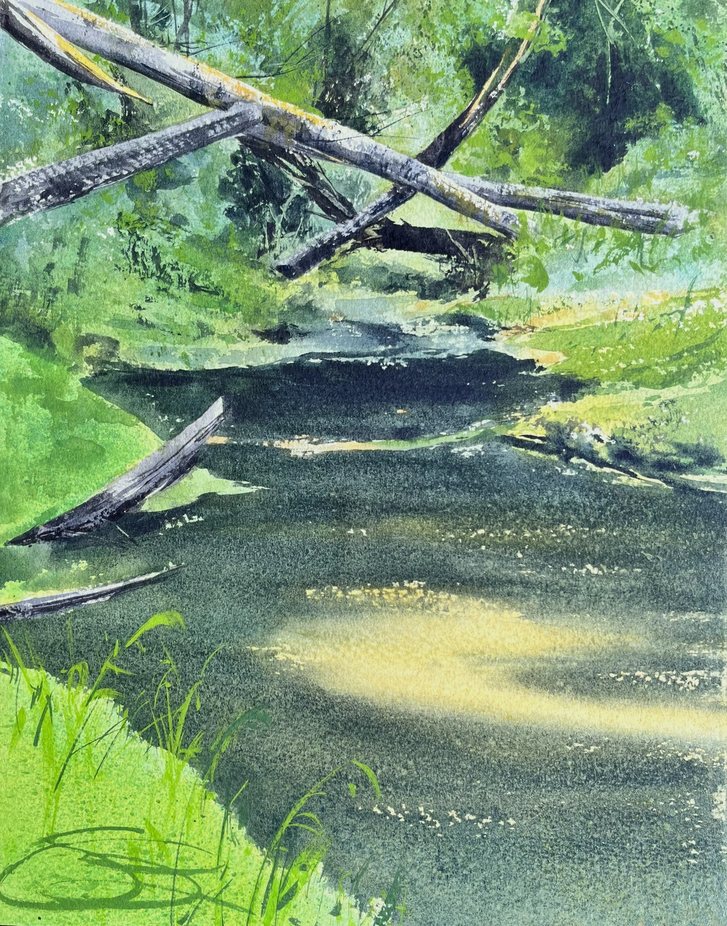 A Little Patch of Light 14x11.jpg