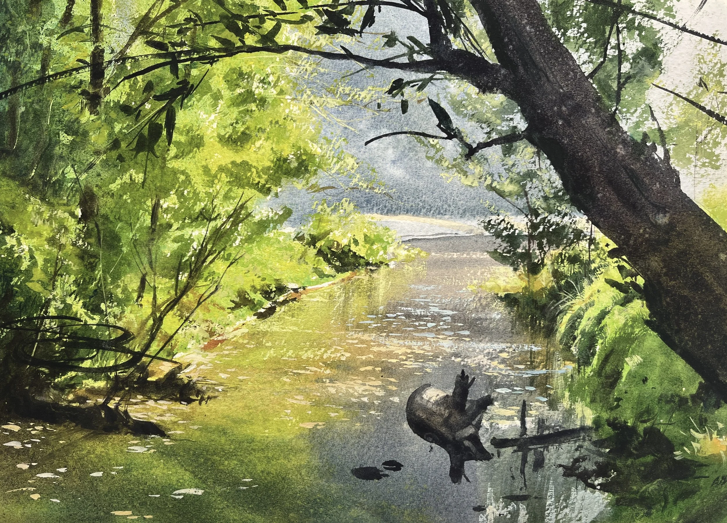 Stream to the Cove 11x14.jpg
