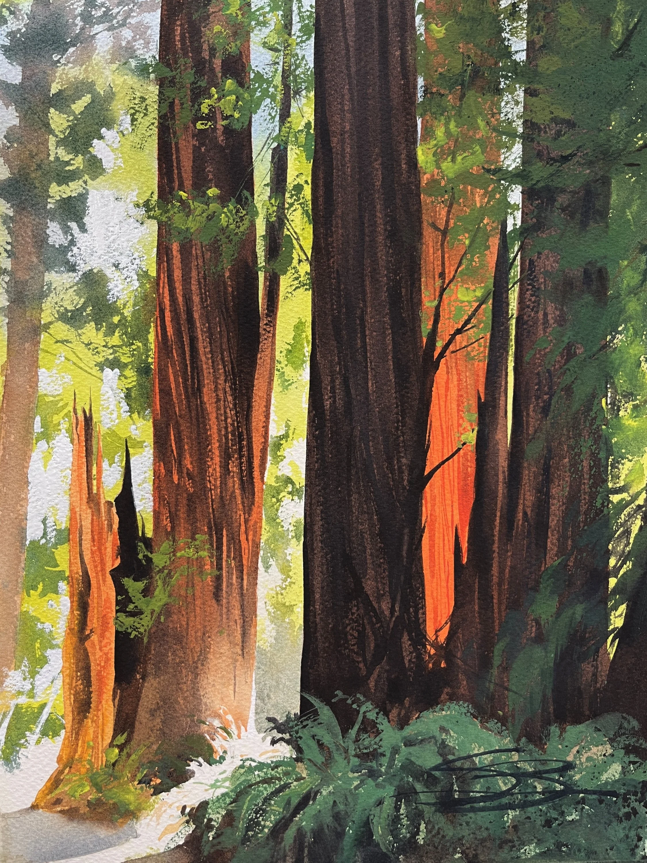 Redwood Fairy Ring, 11x14.jpg