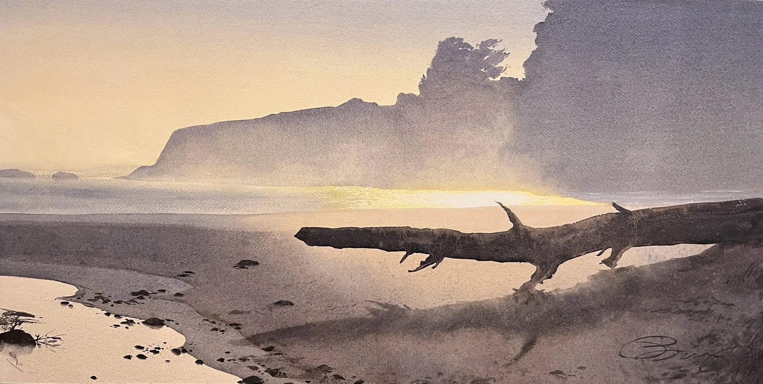 Driftwood, 2x4.jpg