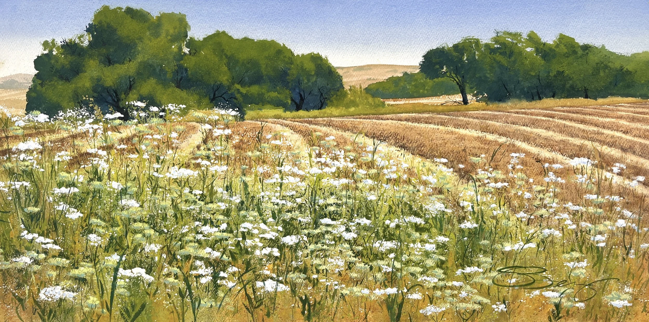 Not All Fields Are Fallow, 20x40, 1995$.jpg