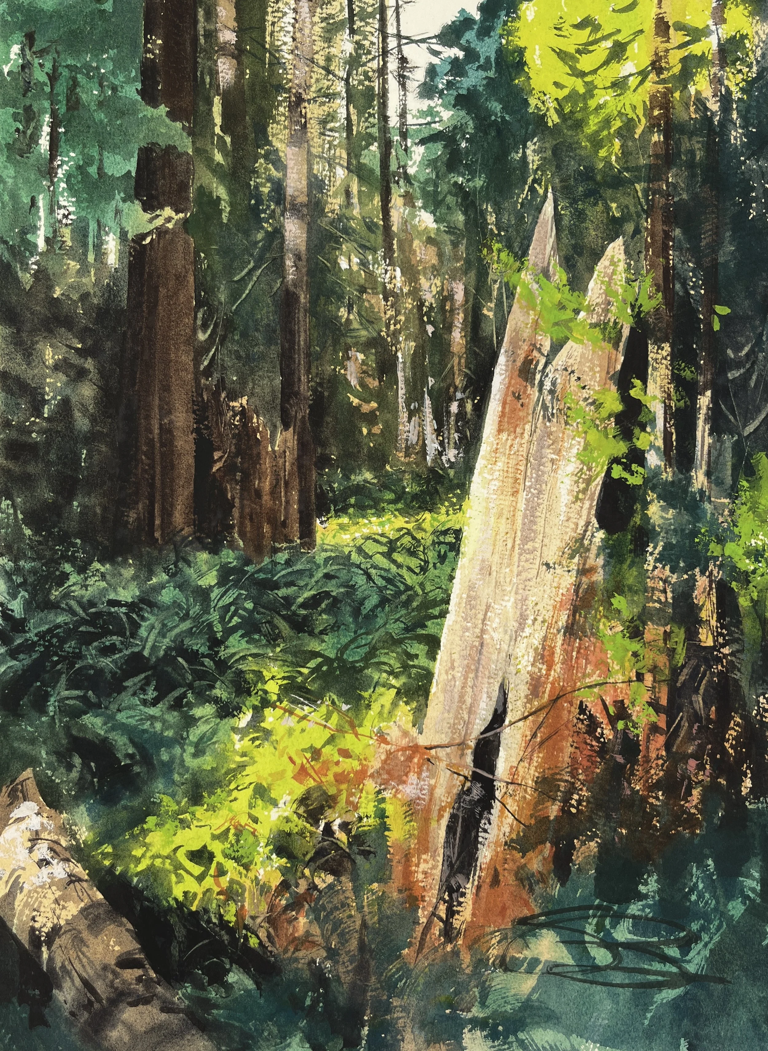 Redwood Husk 11x14.jpg