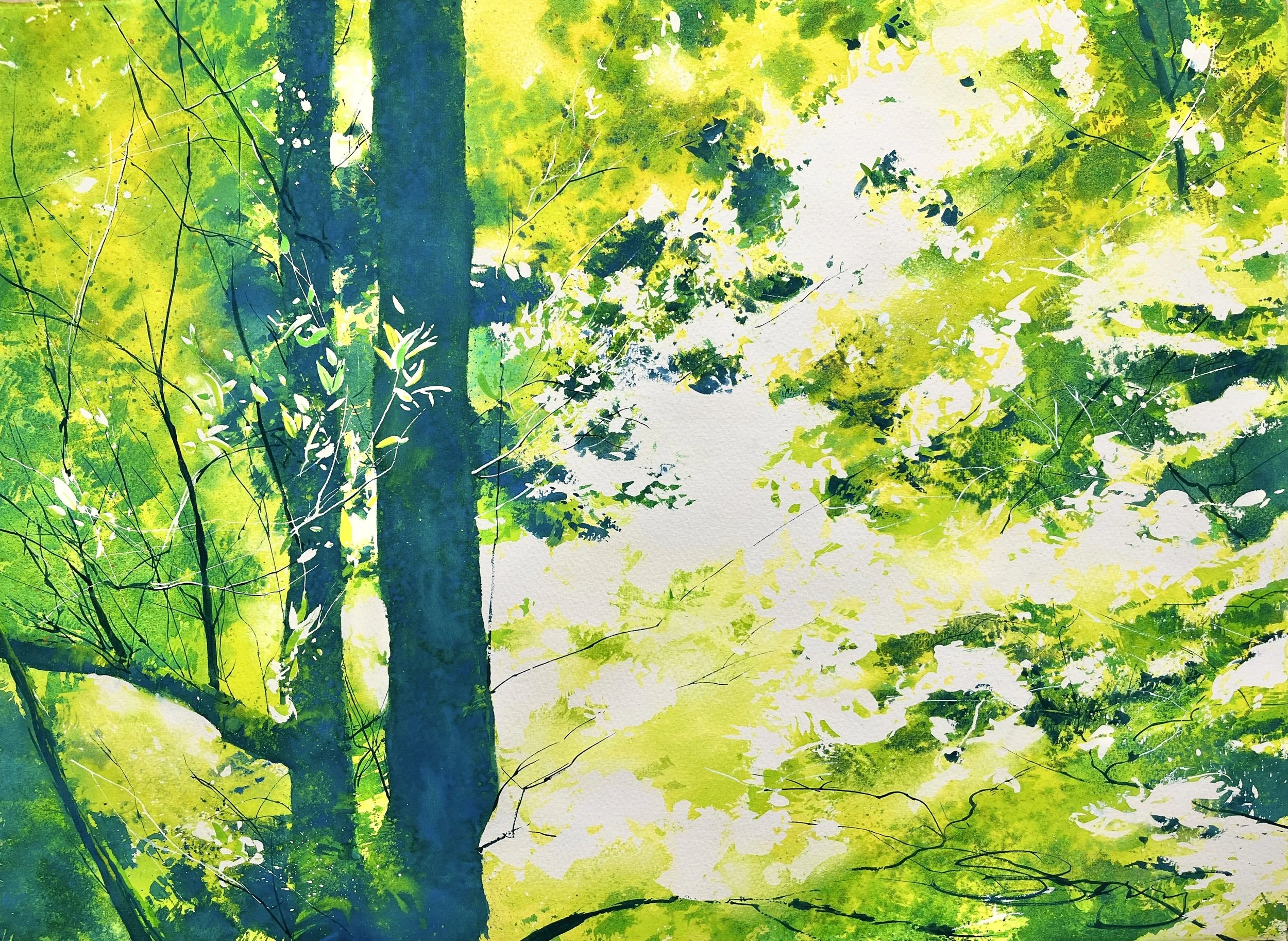 Muir Woods Euphoria, 28x22.jpg