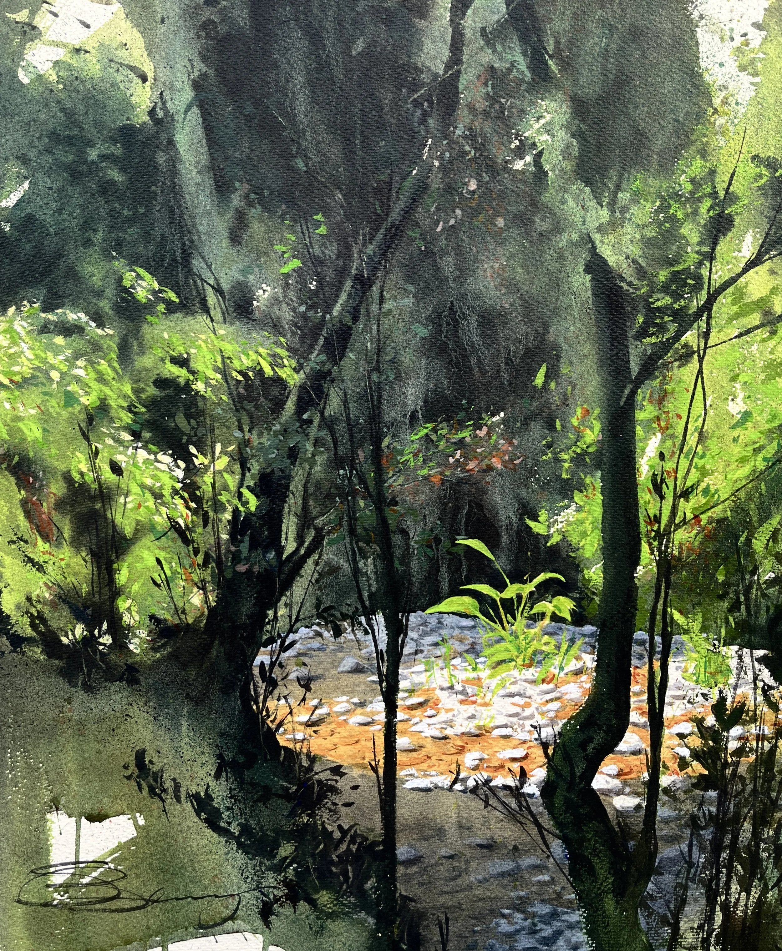 Abundance, Muir Woods, 24x18, 1245$.jpg