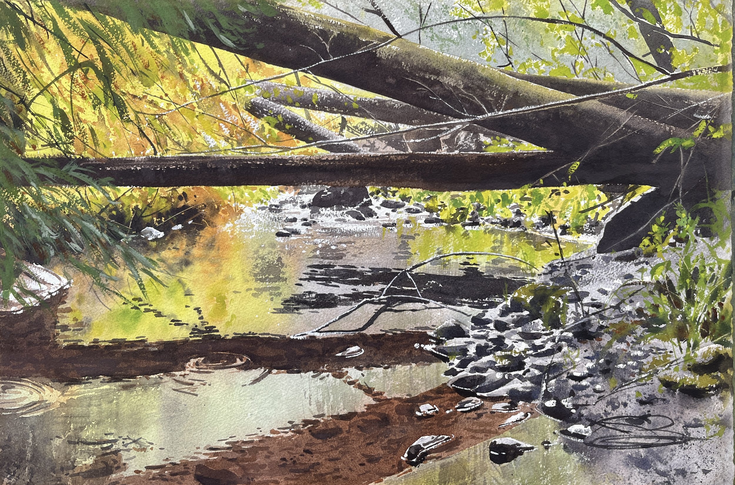 Fern Canyon Stream 14x18.jpg