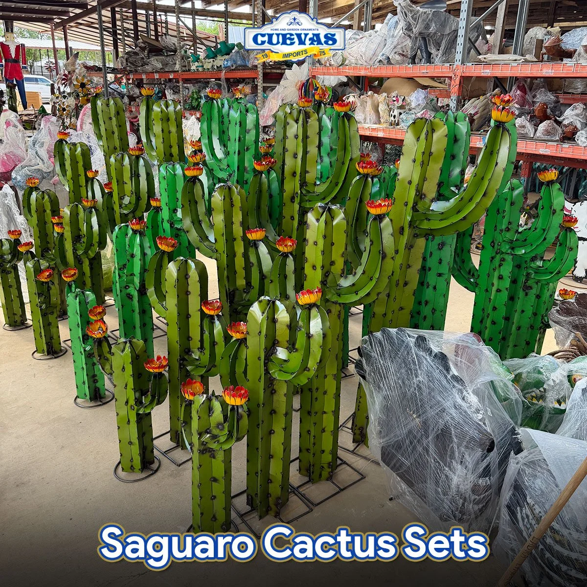 Saguaro Cactus Sets Wholesale