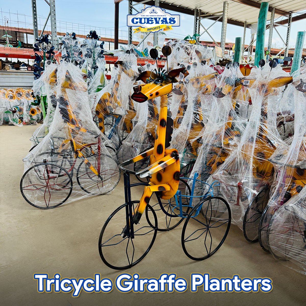 A row of toy giraffe-shaped planters on bicycles, all wrapped in clear plastic, with a store sign above that reads "CUEVAS". The planters are decorated as giraffes with spots, long necks, and giraffe faces, displayed in an outdoor area.